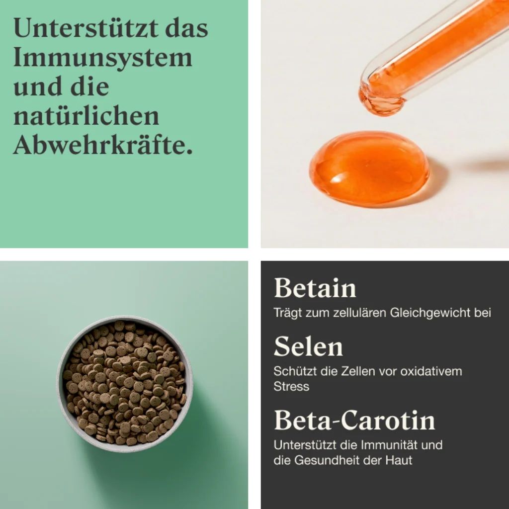 Stylla Resilience: Immununterstützung, Tropfen, Pellets und Inhaltsstoffe.