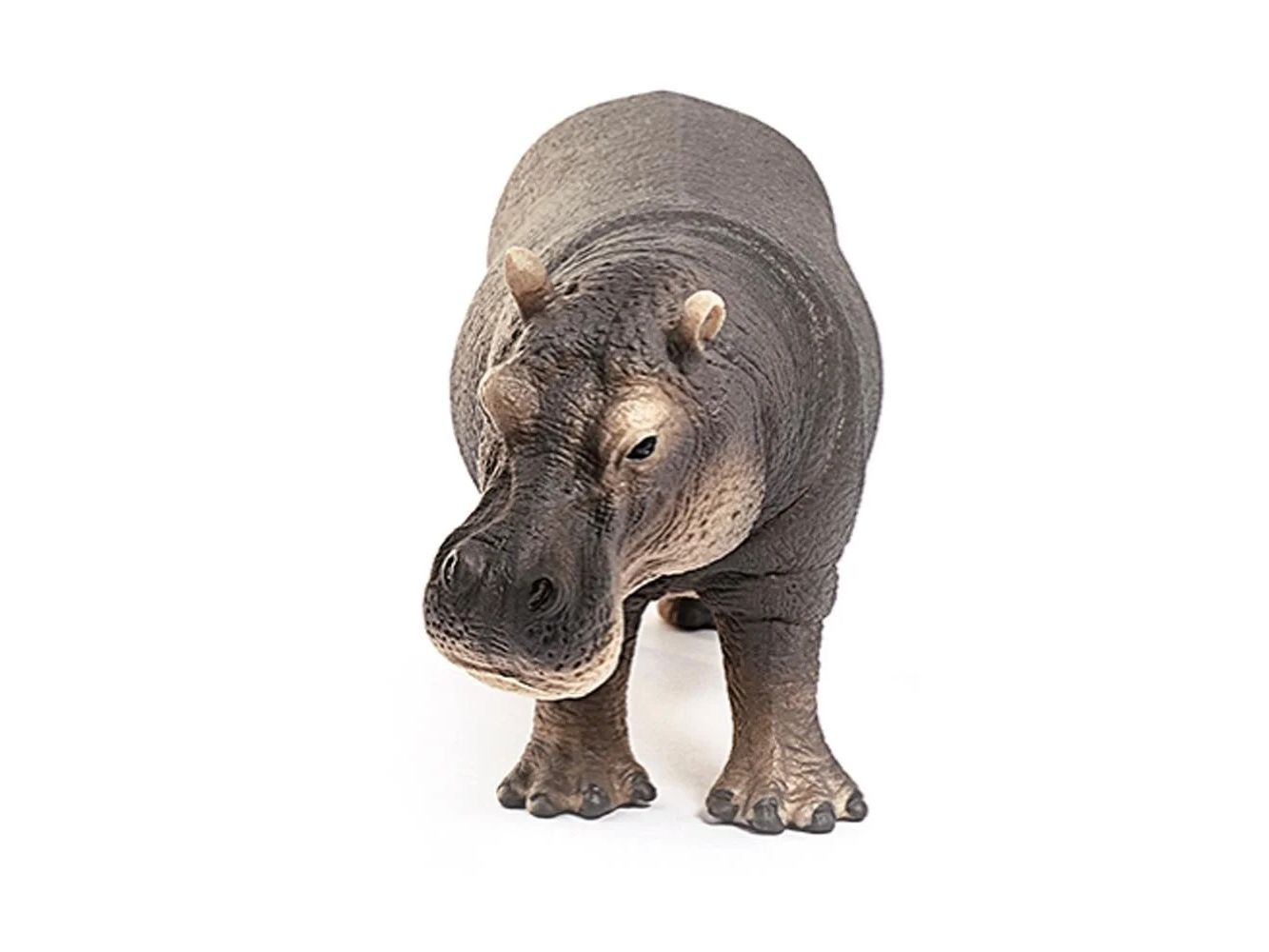Schleich Safari - Flusspferd