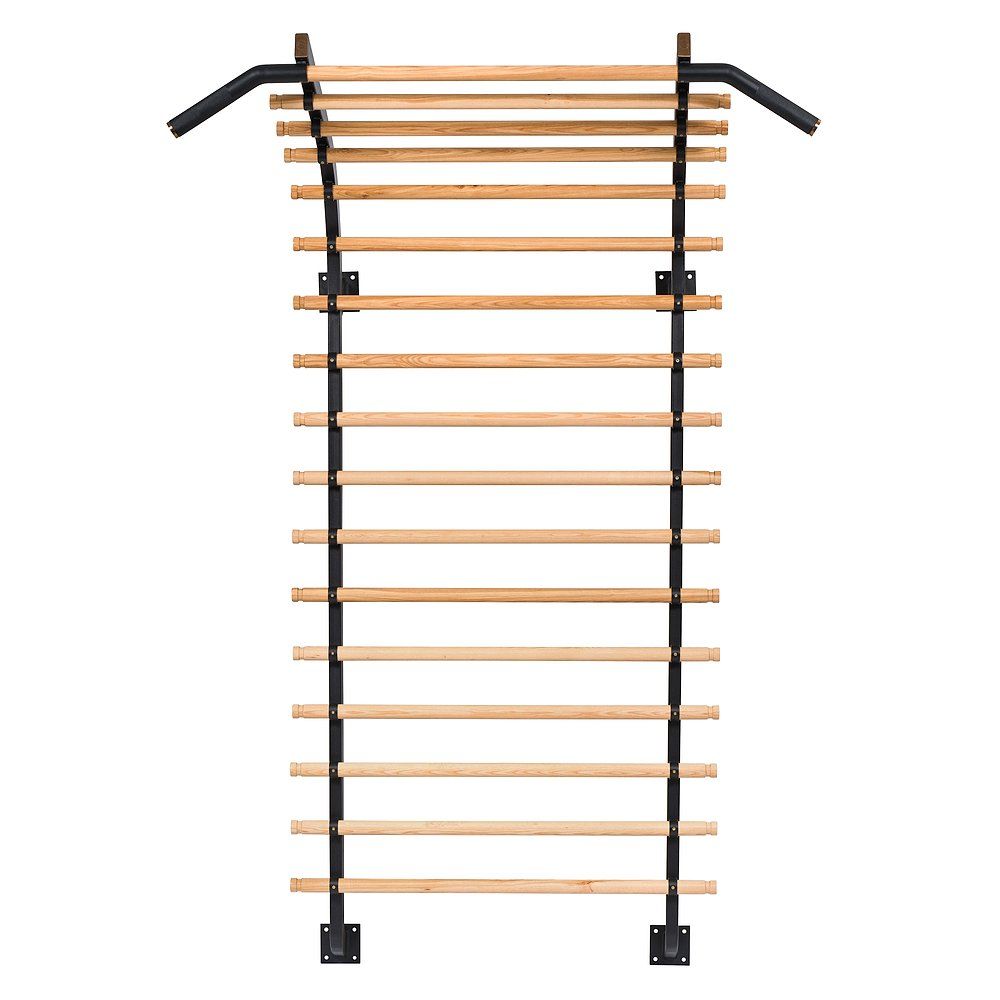 Sport-Thieme Sprossenwand X