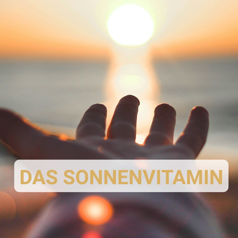 Hand mit Sonne. Text: Das Sonnenvitamin.