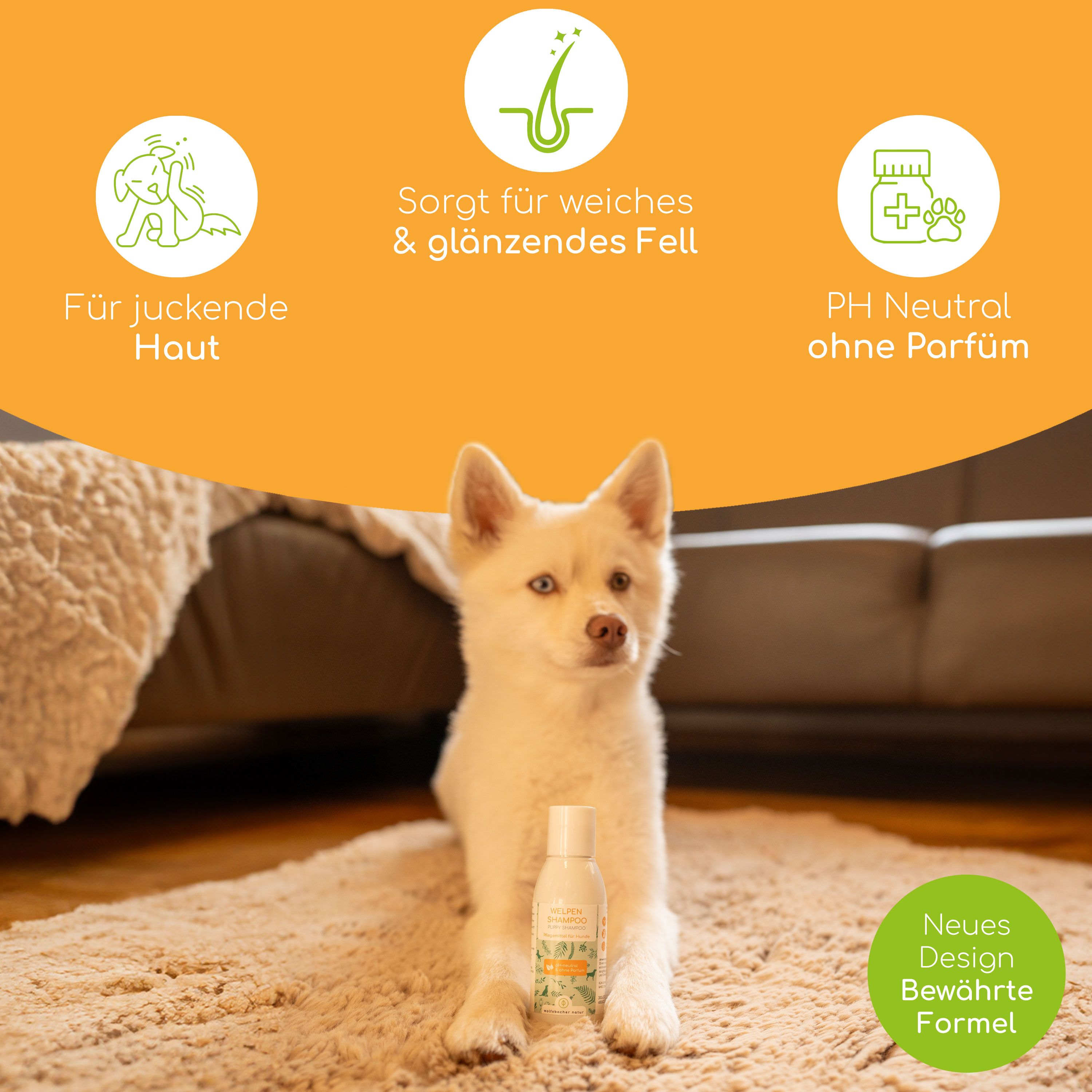 Weißer Hund auf Teppich, daneben Shampoo-Flasche. Text: Für juckende Haut, sorgt für weiches Fell, pH-neutral ohne Parfum.