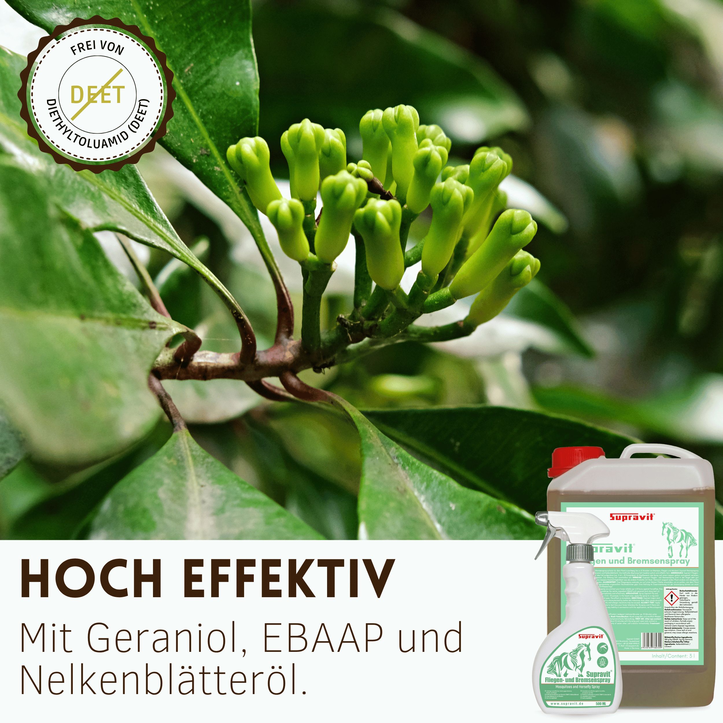 Pflanzen mit Knospen, DEET-frei.