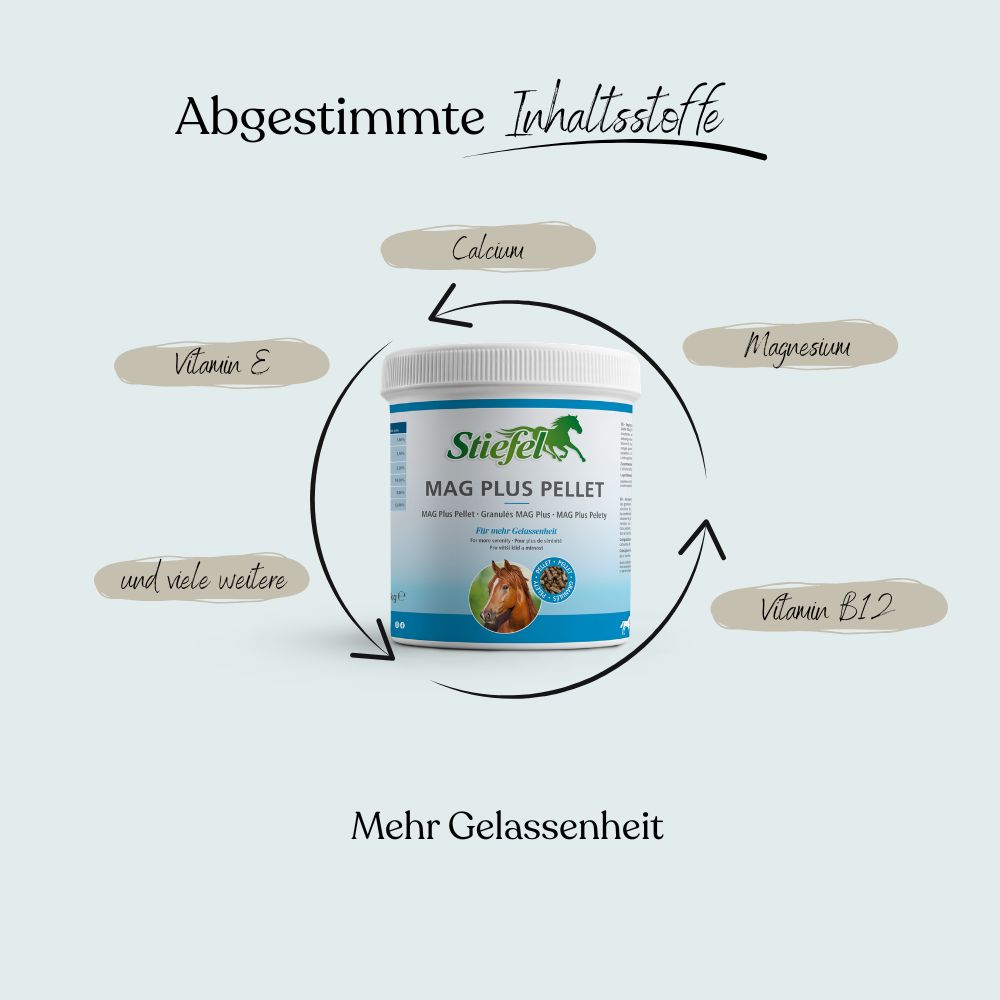 Weißes Produktglas mit blauem Etikett. Text: Stiefel MAG PLUS PELLET. Inhaltsstoffe: Calcium, Magnesium, Vitamin B12, Vitamin E. Pfeile zeigen auf Inhaltsstoffe.