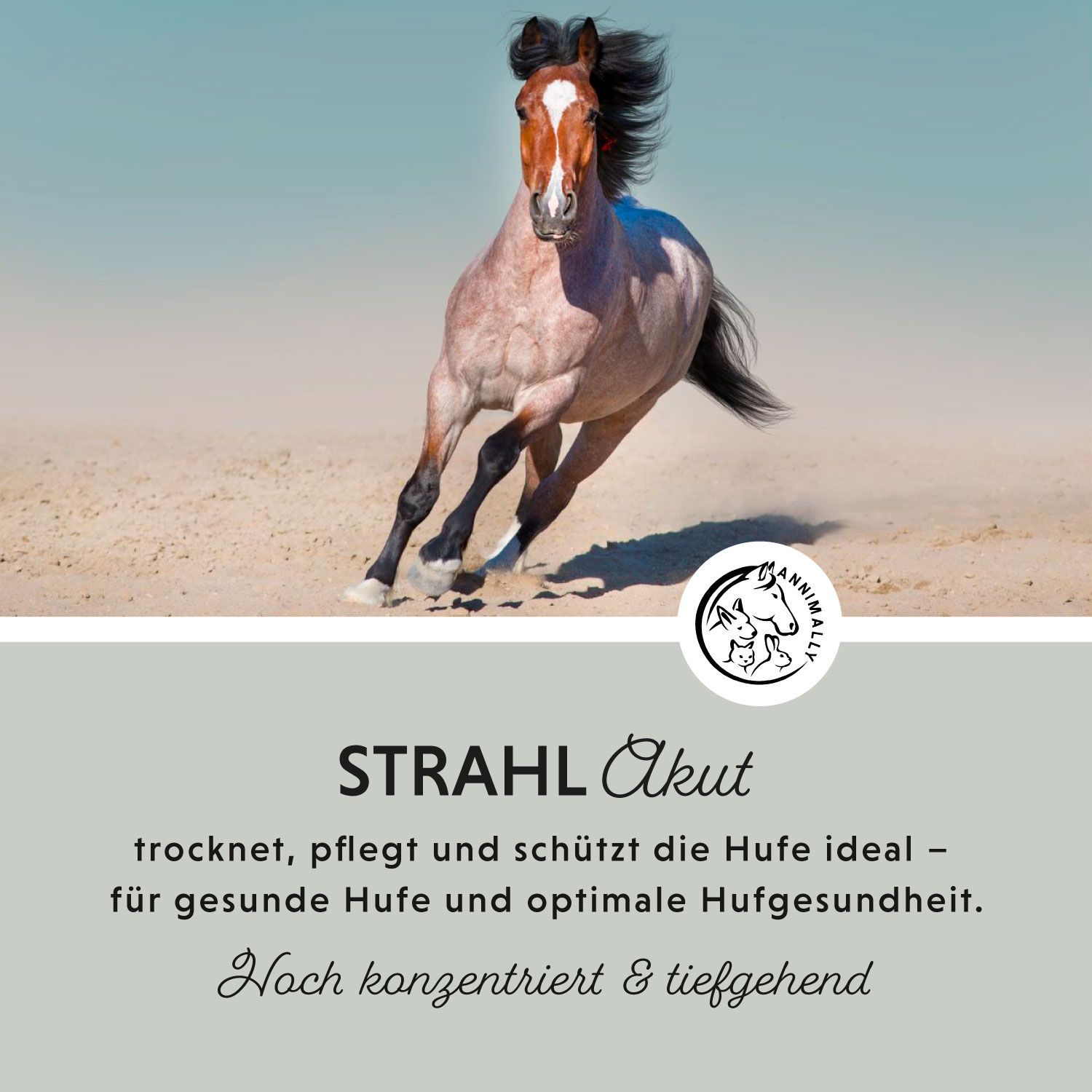 Annimally Strahl Akut