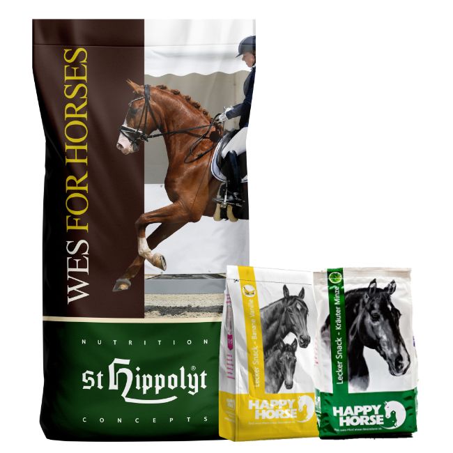 St. Hippolyt WES for Horses - All in One 15 kg & Lobs Belohnungswürfel 2 x 1 kg geschenkt