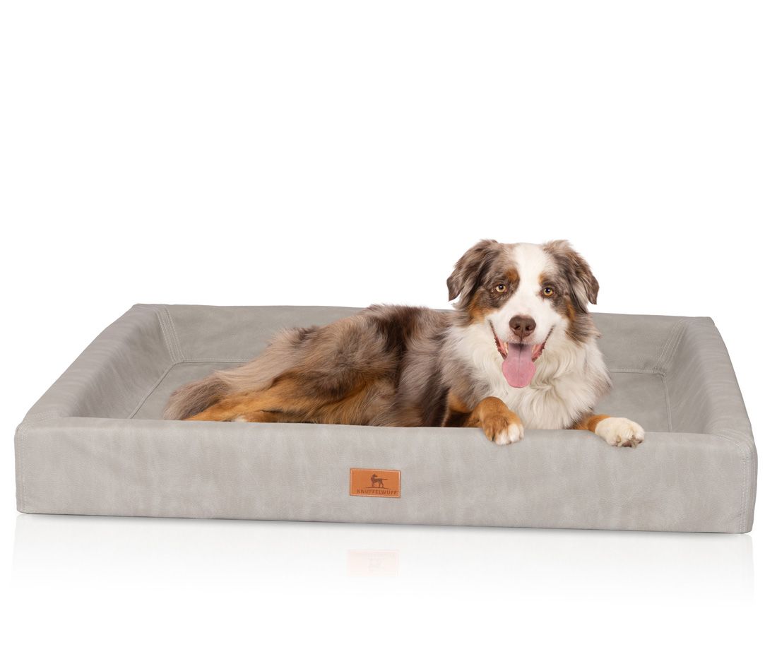 Hund liegt auf grauem, rechteckigem Hundebett. Bett mit erhöhtem Rand und Label. Hund mit braun-weißem Fell.
