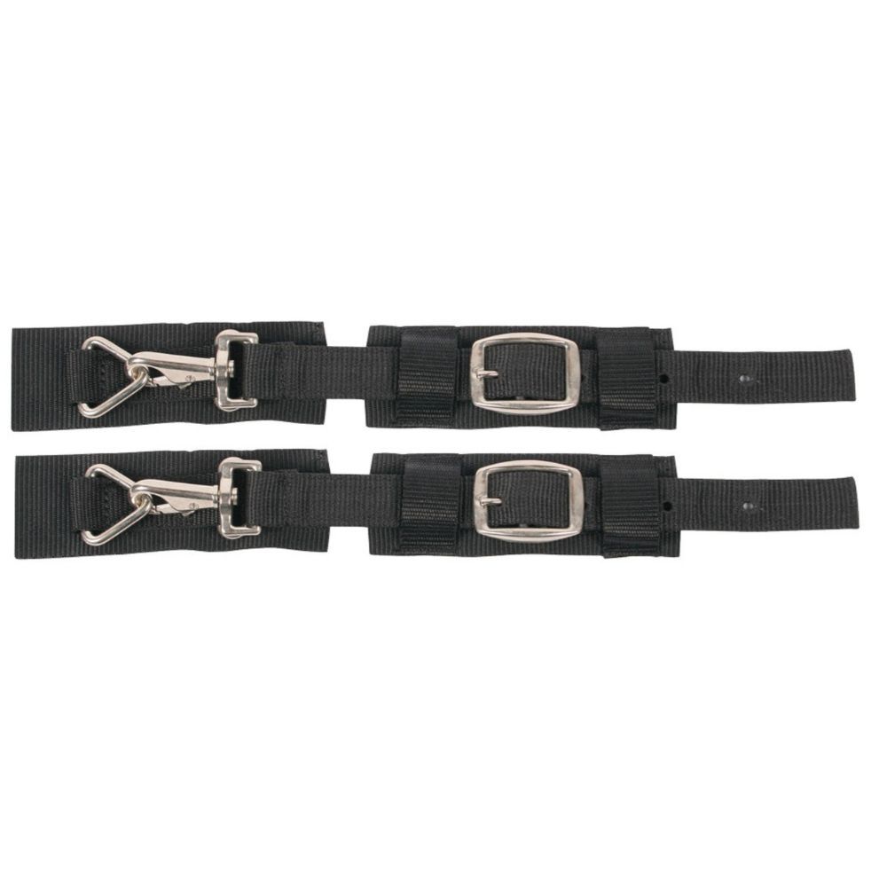 Zwei schwarze Brustverschlüsse mit Schnallen und Haken.