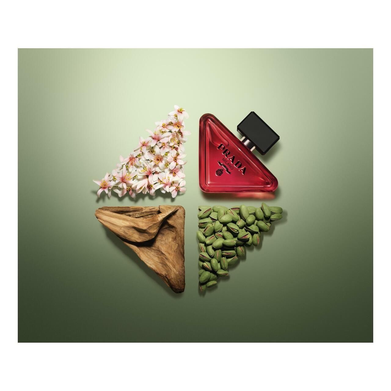 Roter Flakon, umgeben von Blüten, Holz und Samen. Flakon mit schwarzem Deckel. Grüner Hintergrund.