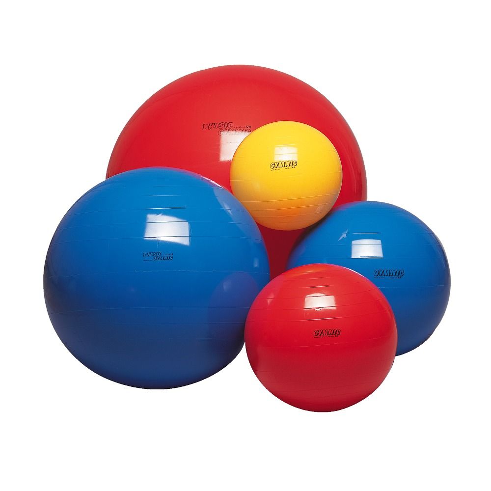 Gymnic Fitnessball