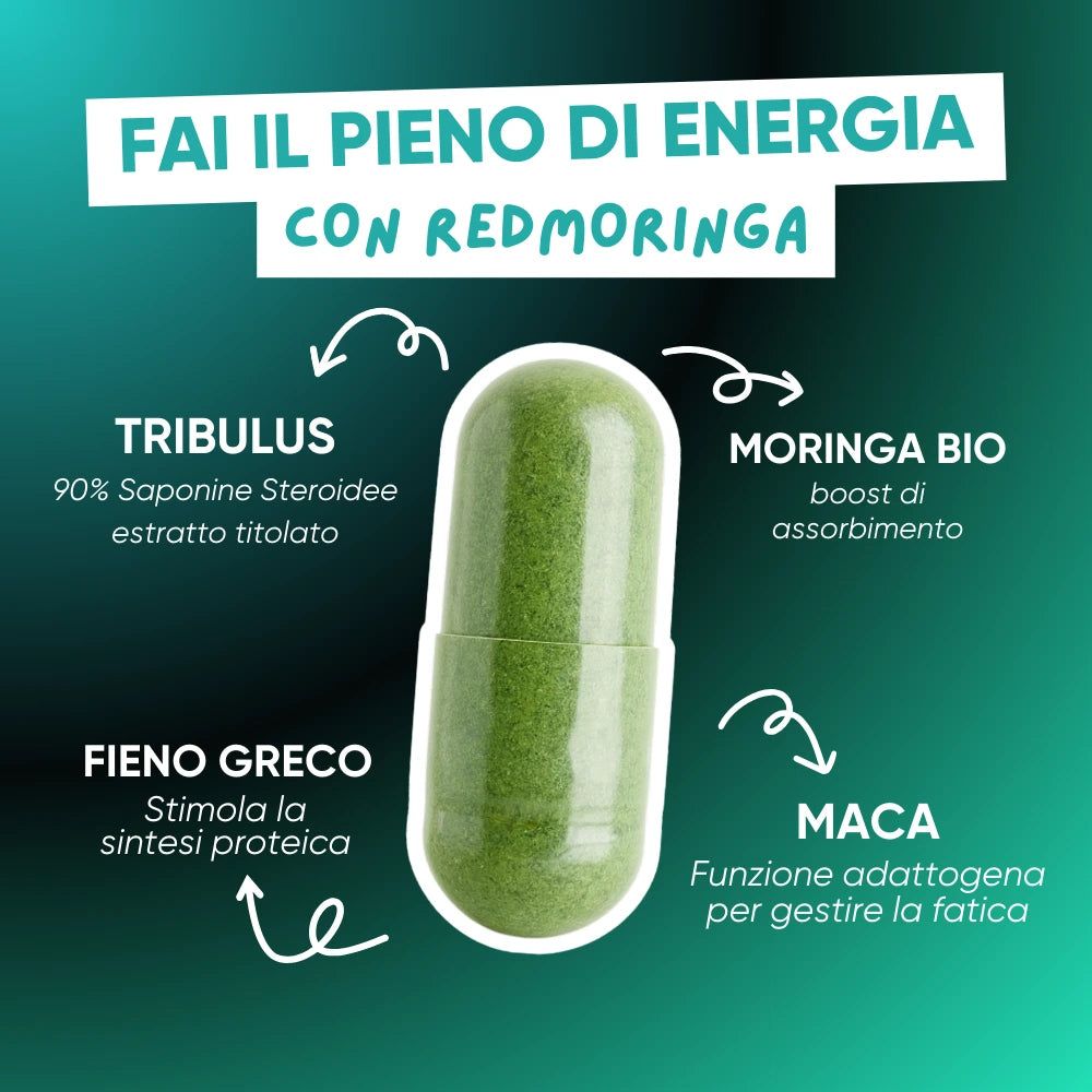 Grüne Kapsel mit Pfeilen und Text. Pfeile zeigen auf Tribulus, Moringa Bio, Maca und Bockshornklee.
