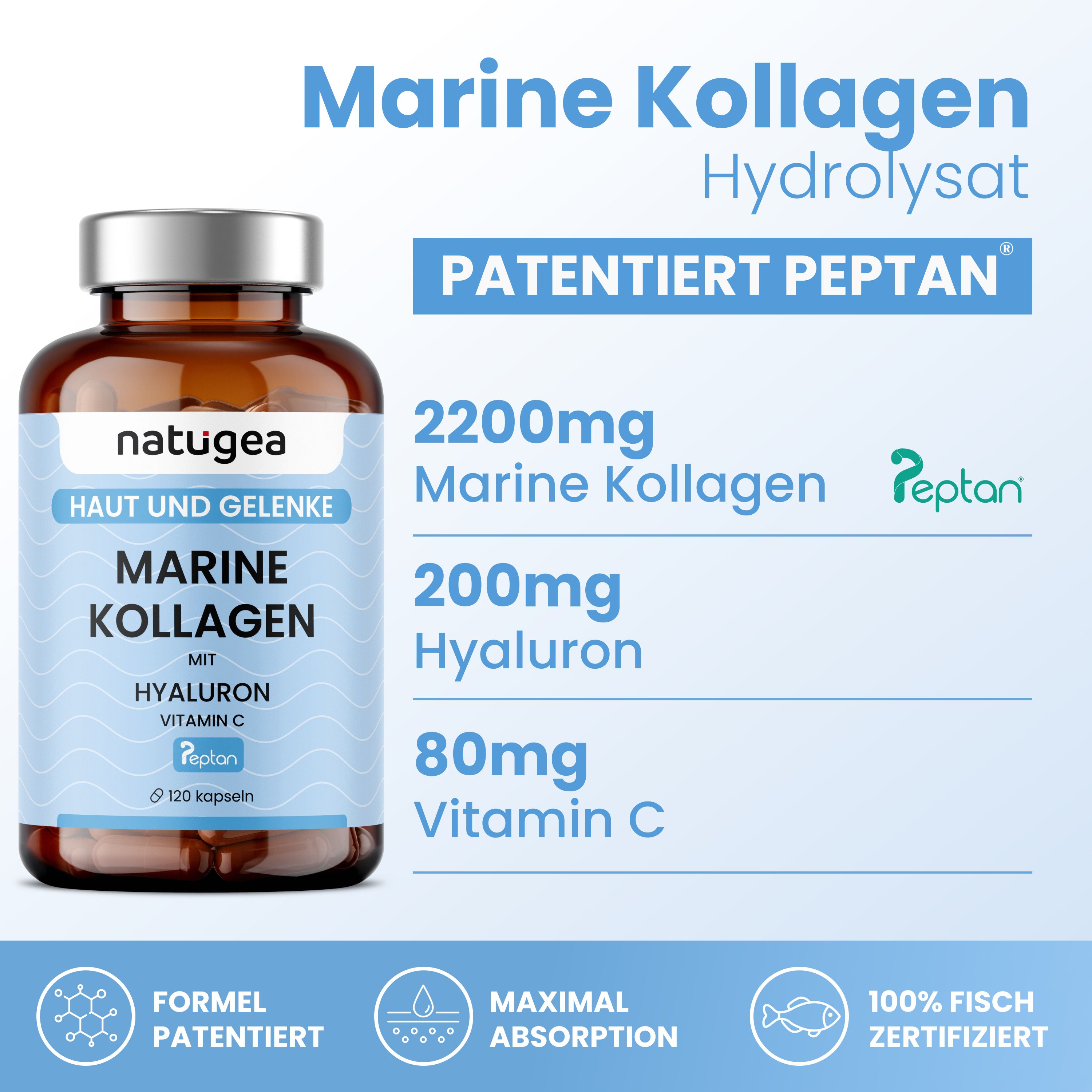 Marine Collagen Hydrolysed PEPTAN® - natugea®