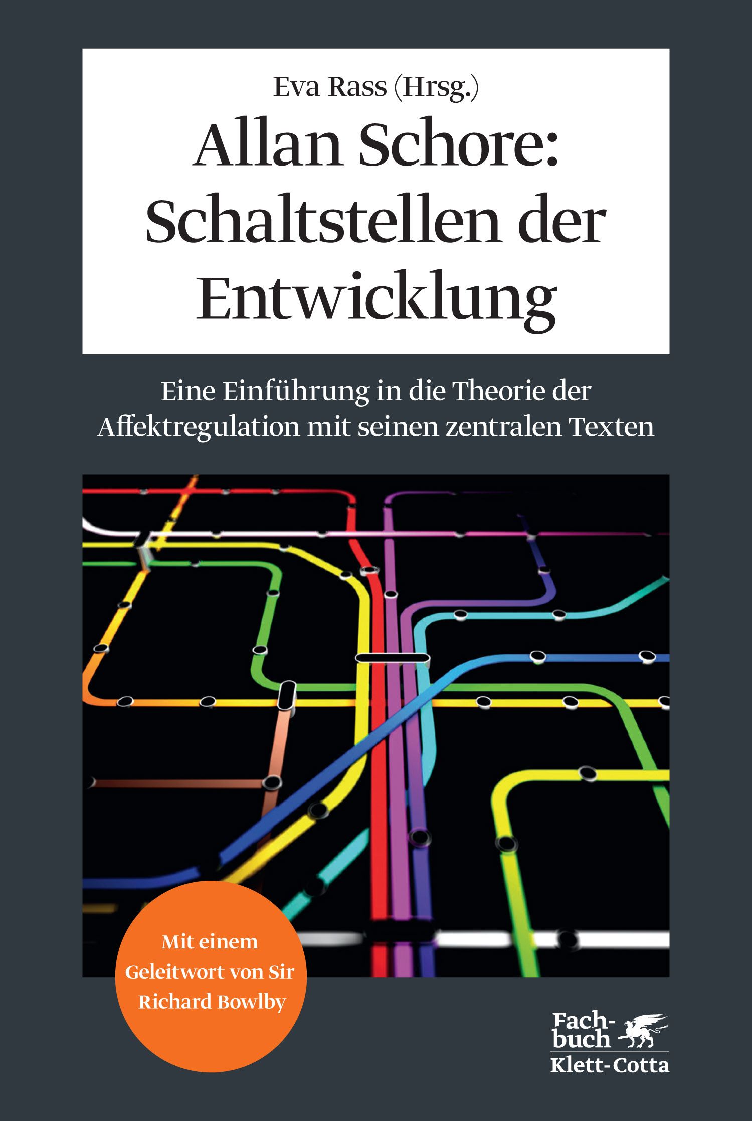 Buchcover: Allan Schore: Schaltstellen der Entwicklung. Titel und Autor in weißer Schrift auf grauem Hintergrund. Abbildung von farbigen Linien.