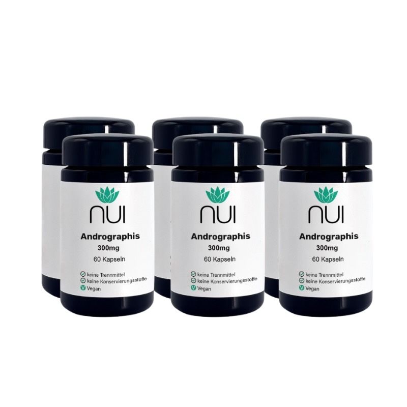 Sechs schwarze Flaschen mit weißen Etiketten. Auf jedem Etikett steht "nui Andrographis 300mg 60 Kapseln".