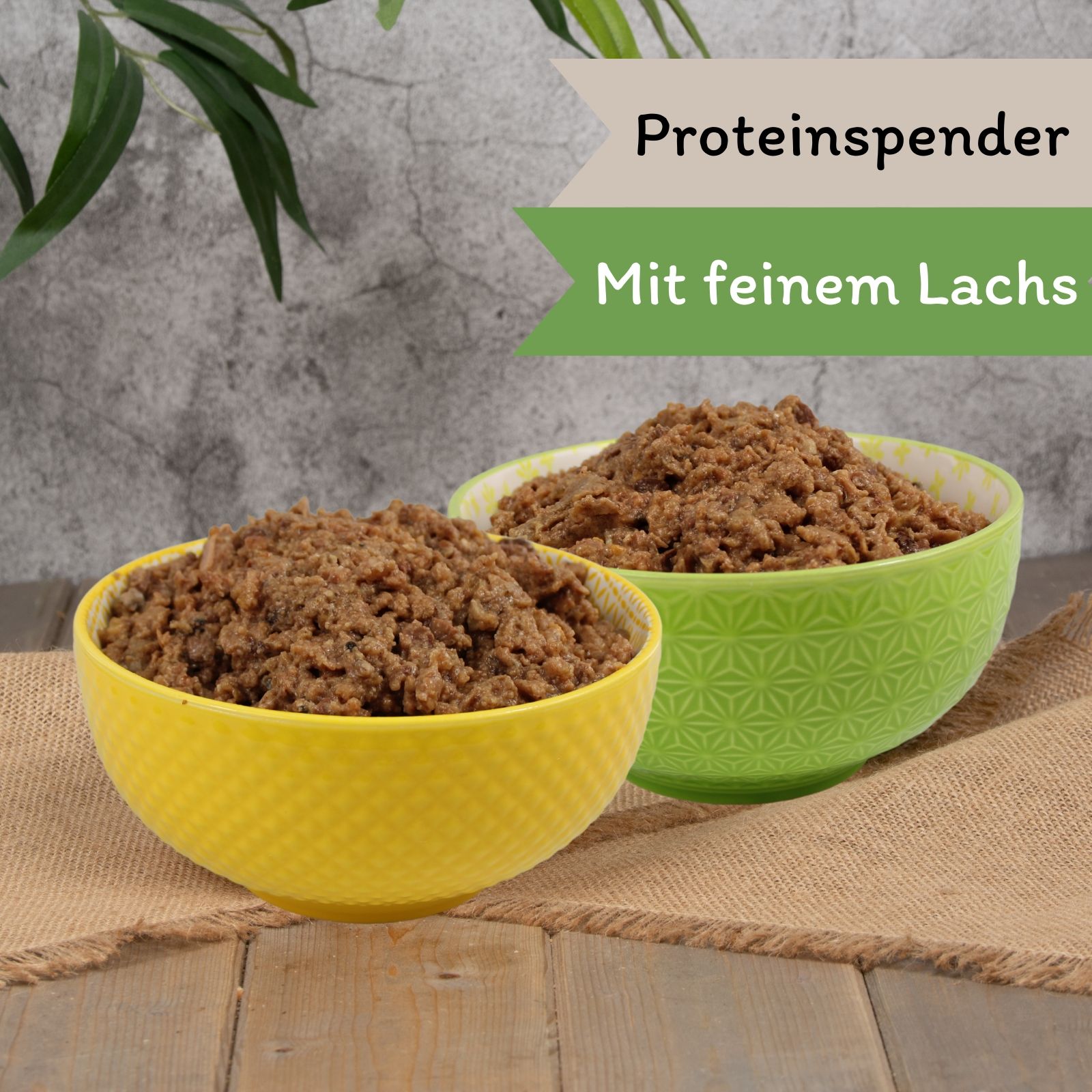 Zwei Schüsseln mit feuchtem Tierfutter, eine gelb, eine grün. Text: Proteinspender, Mit feinem Lachs.