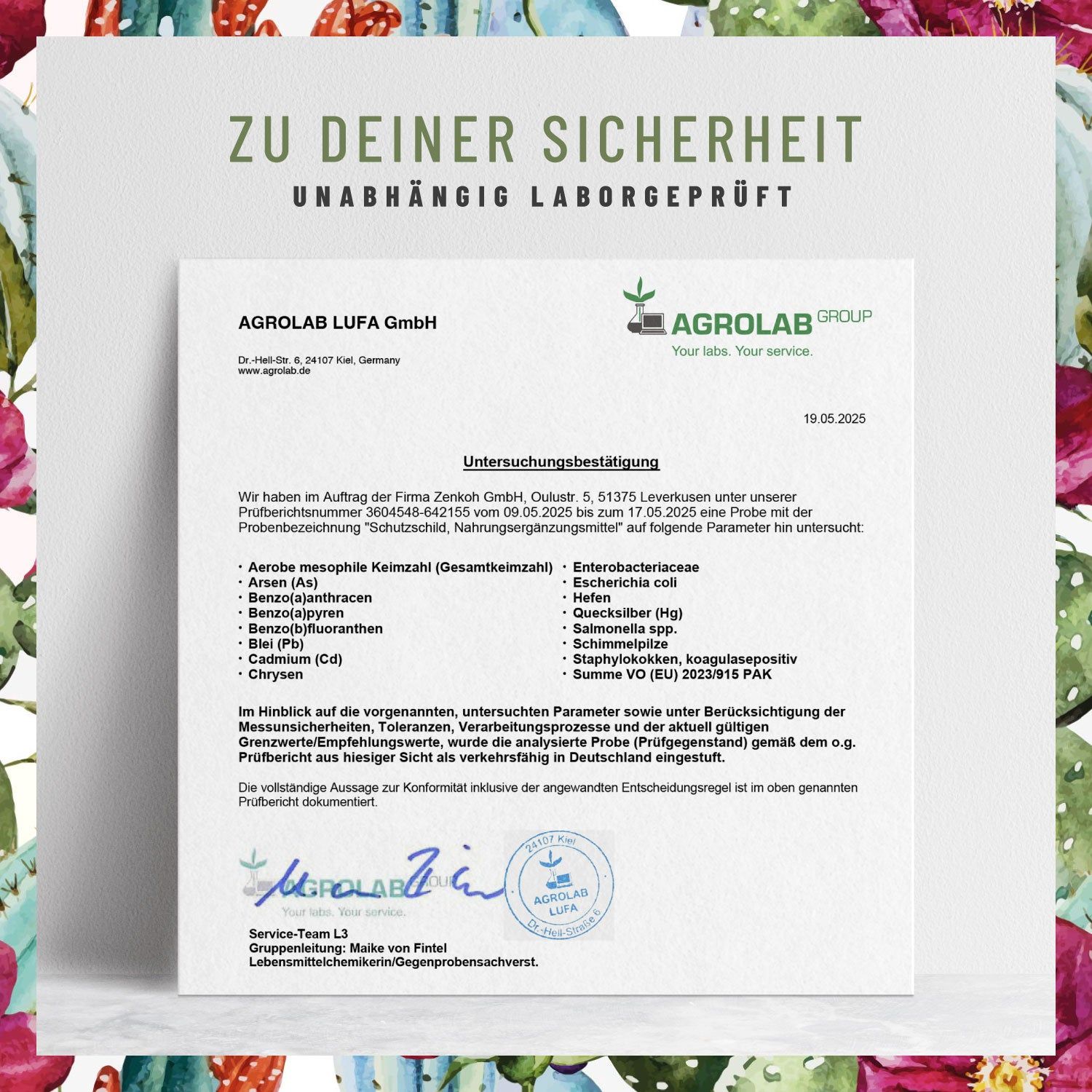 Immun* Komplex mit Echinacea Vitamin C Zink Selen L-Histidin & Kalmegh - Schutzschild - NATURTREU®
