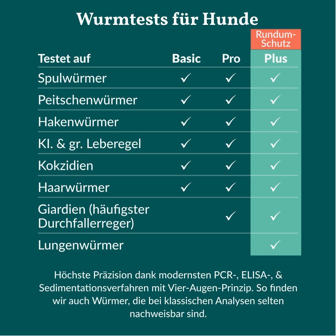 Vergleichstabelle der Wurmtests Basic, Pro und Plus für Hunde, inklusive Lungenwürmer.