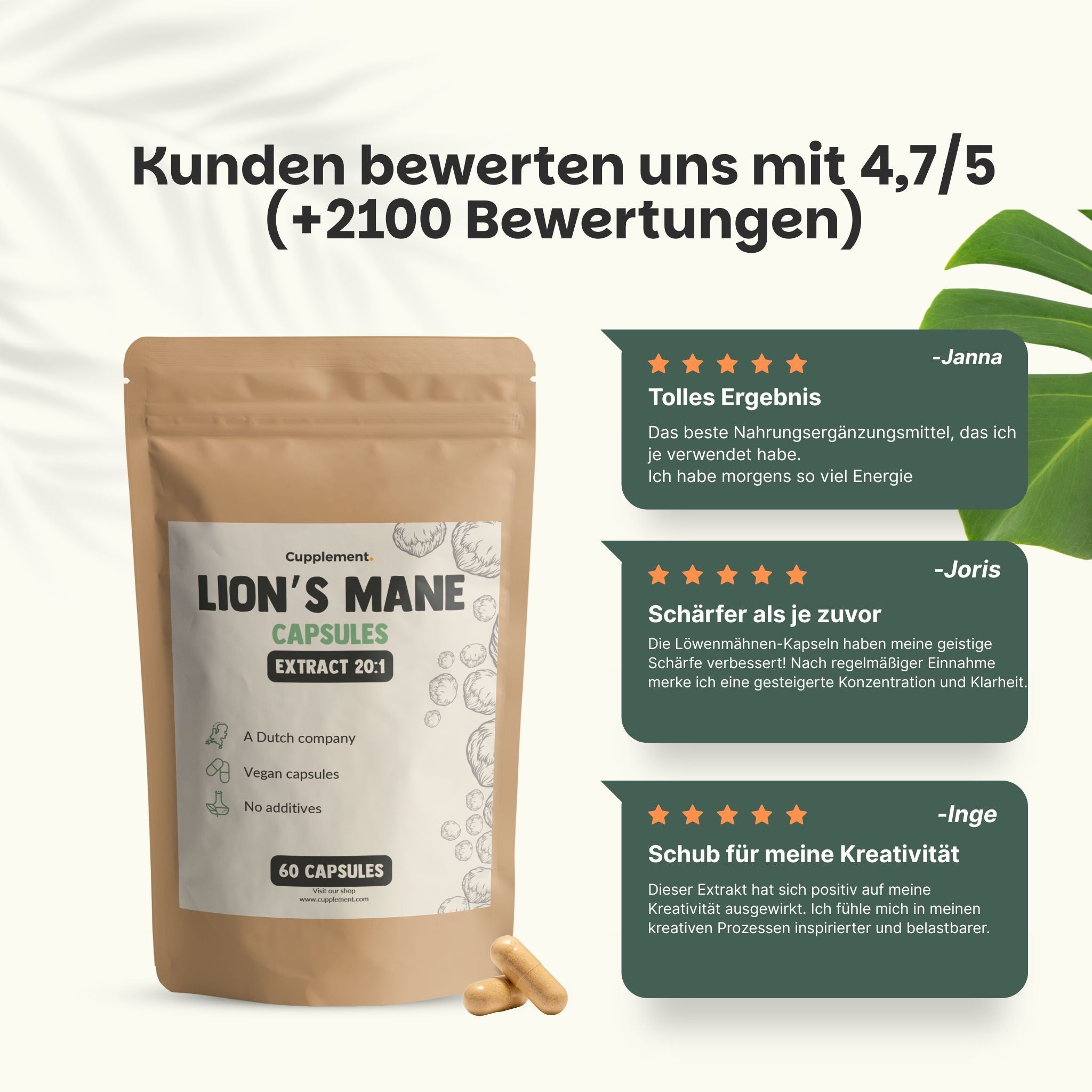 Beutel mit Kapseln und Kundenbewertungen. Aufschrift: Lion's Mane Capsules, Extrakt 20:1. 60 Kapseln. 4,7/5 Sterne.