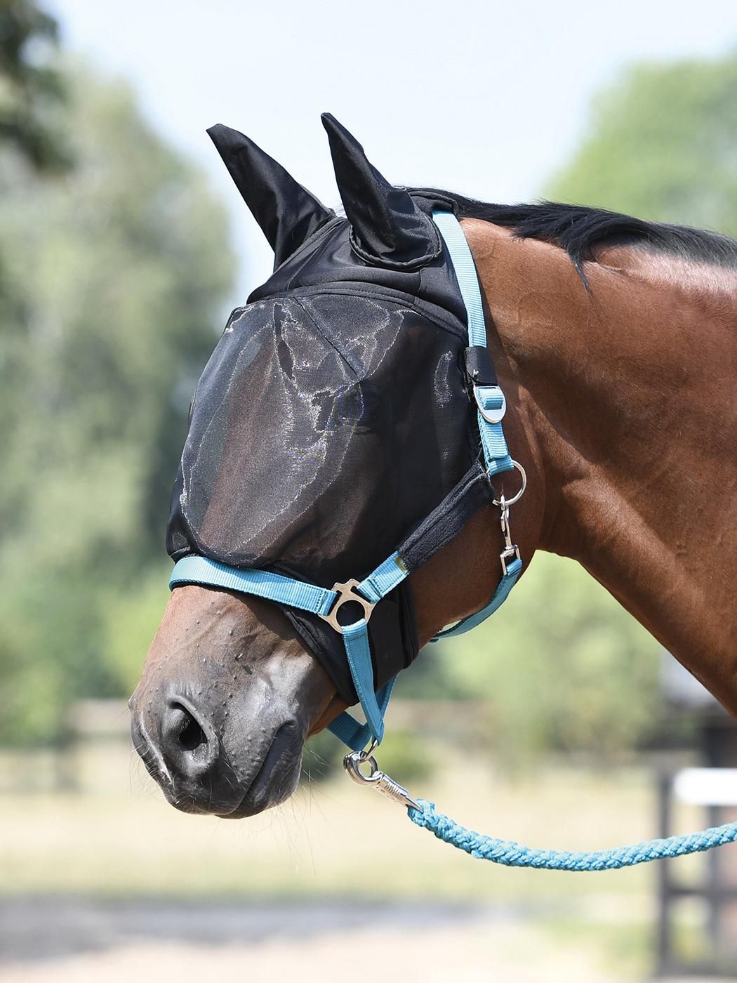 Schwarze Fliegenmaske COMBI PLUS mit Ohrenschutz und hellblauem Halfter an einem Pferd. Das Halfter ist mit einem Strick verbunden.