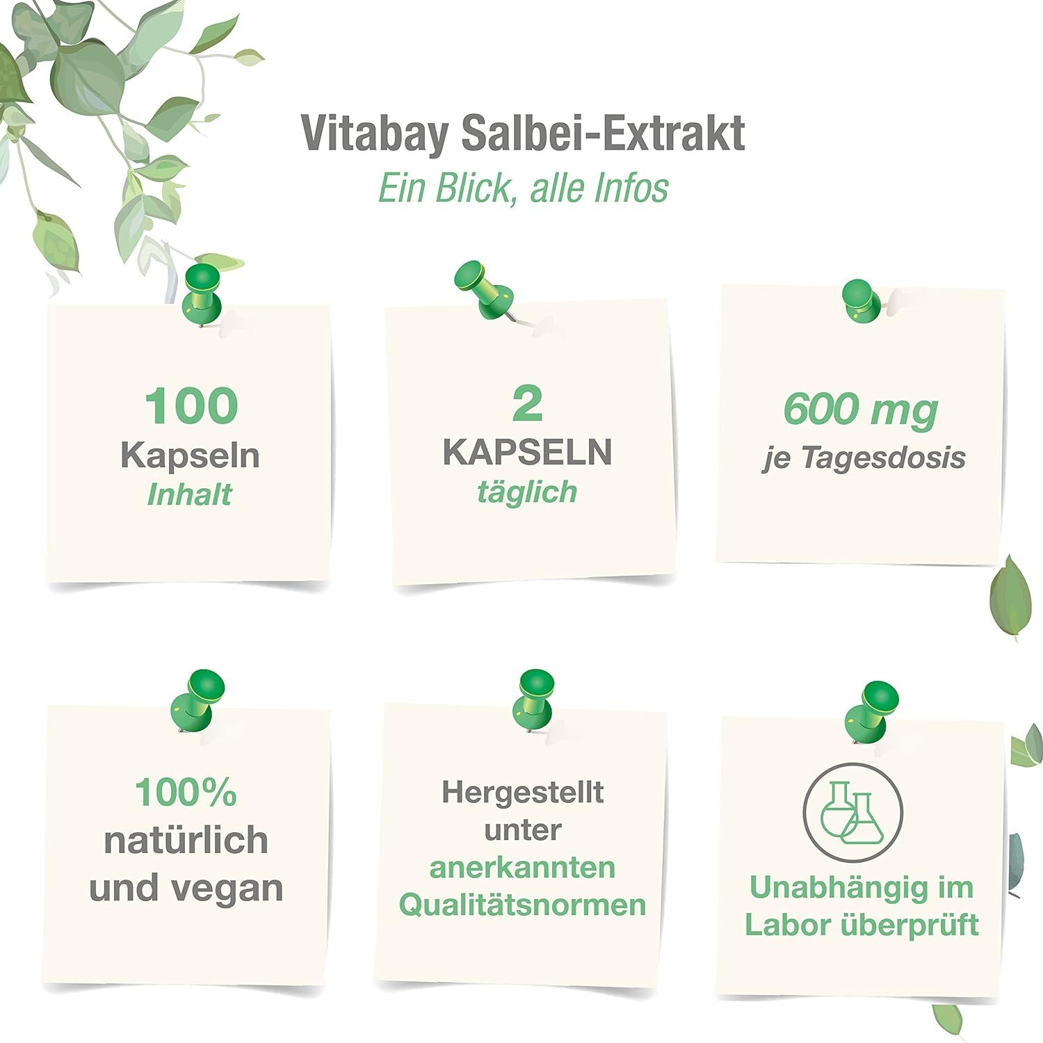 Vitabay Salbei Extrakt 600 mg 100 St Kapseln