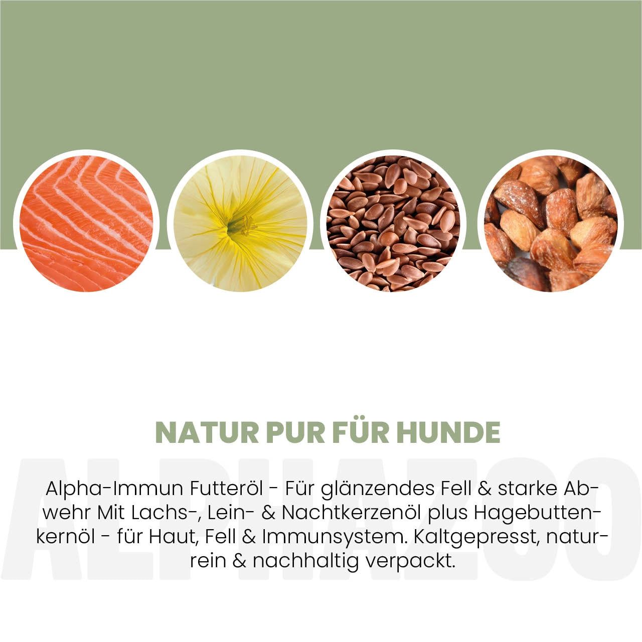 Kreisförmige Abbildungen von Lachs, Blüte, Samen und Mandeln. Text: Natur pur für Hunde. Alpha-Immun Futteröl.