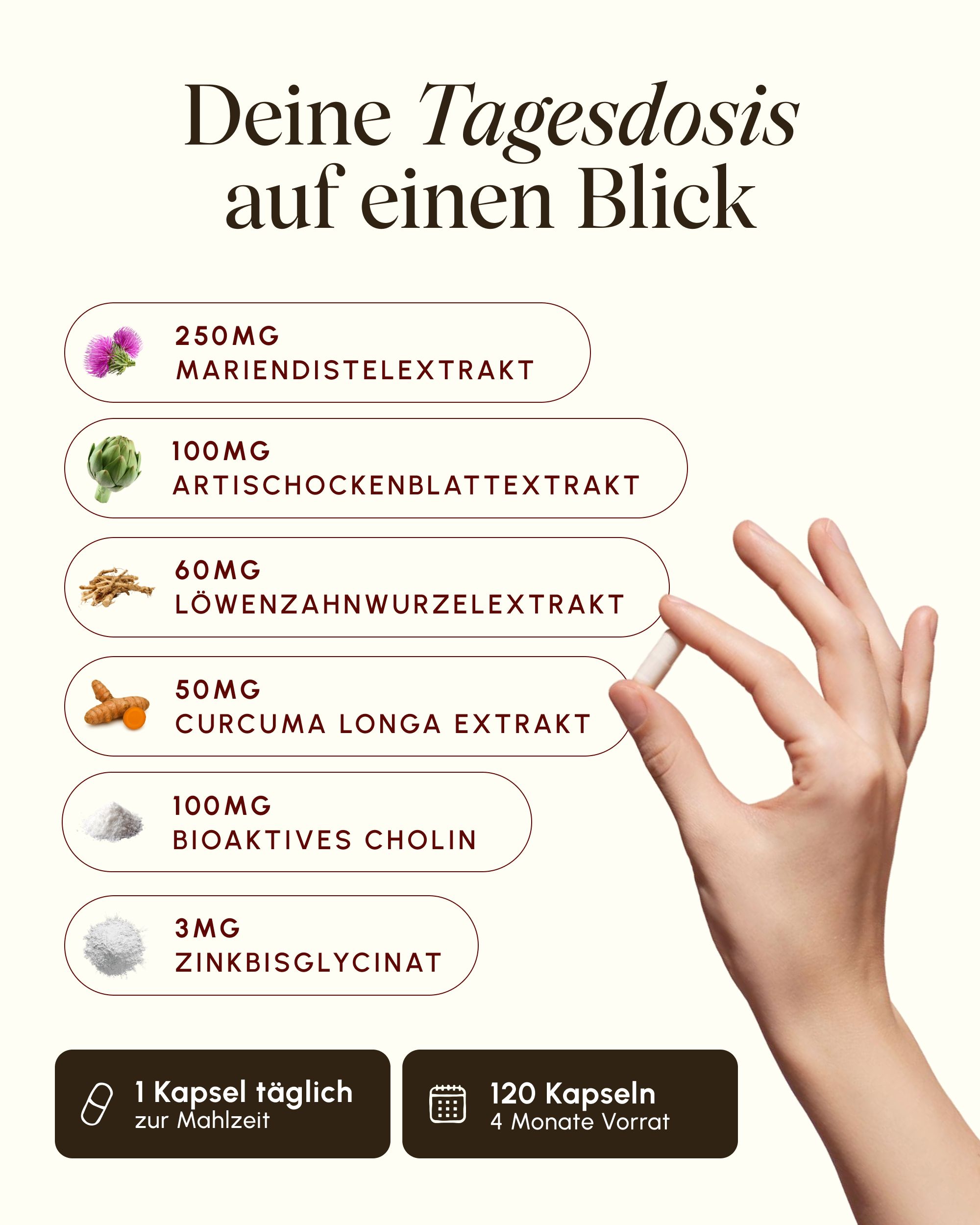 Tagesdosis VETAIN Leber Komplex: Mariendistel, Artischocke, Löwenzahn, Curcuma, Cholin, Zink. 1 Kapsel täglich, 120 Kapseln.