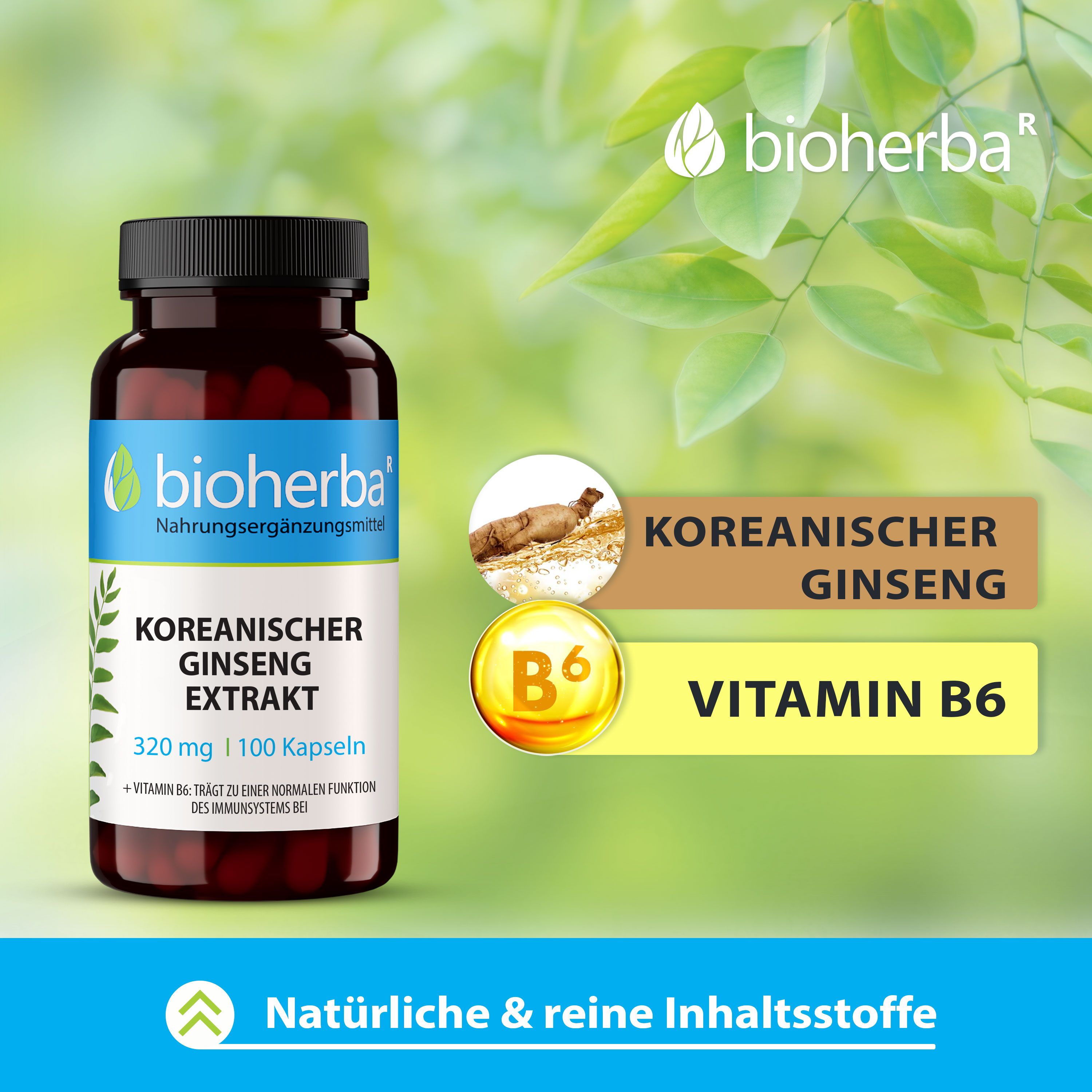 Bioherba Koreanischer Ginseng Extrakt 100 Kapseln
