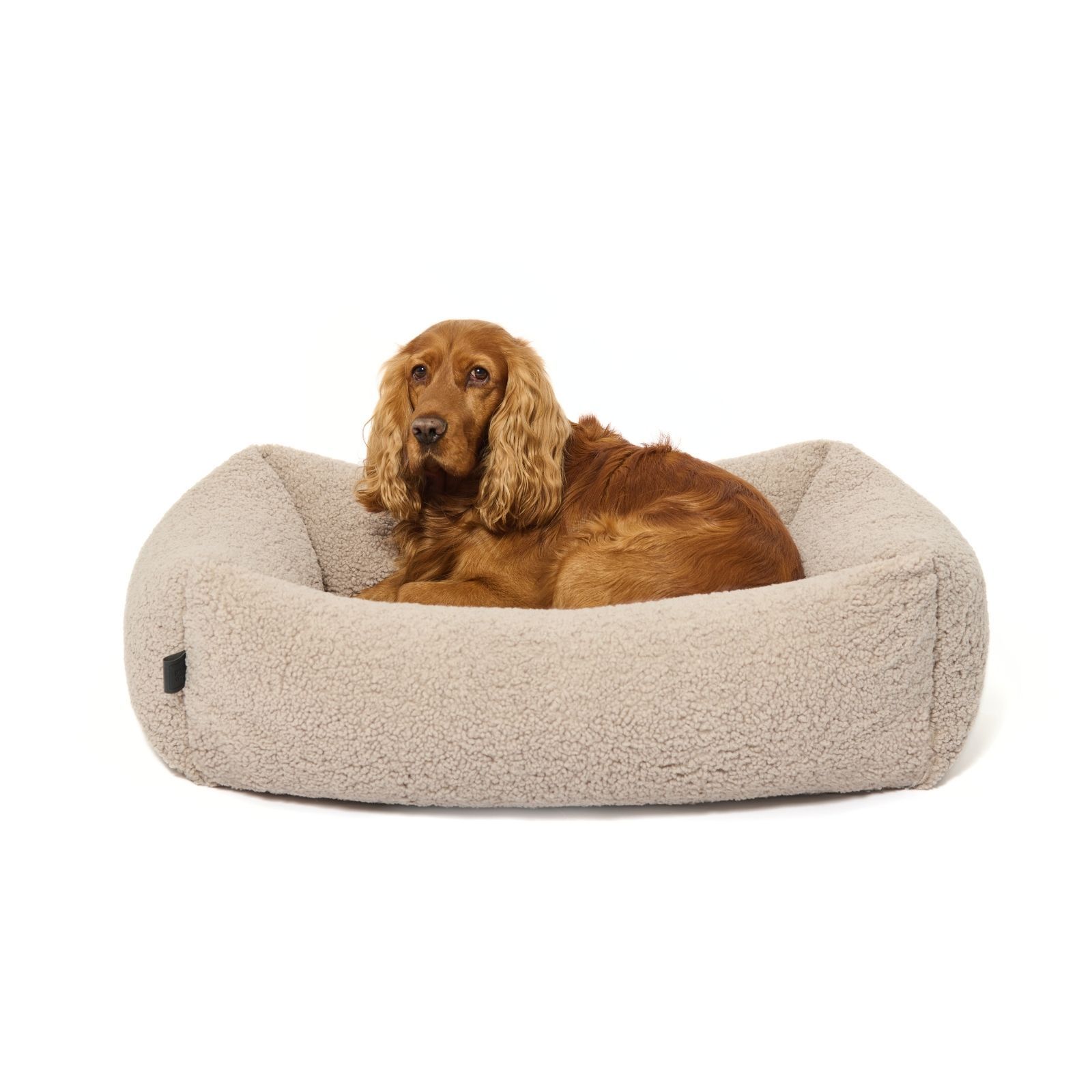 Hund liegt in einem beigen Hundebett. Das Bett hat eine rechteckige Form und erhöhte Seiten.