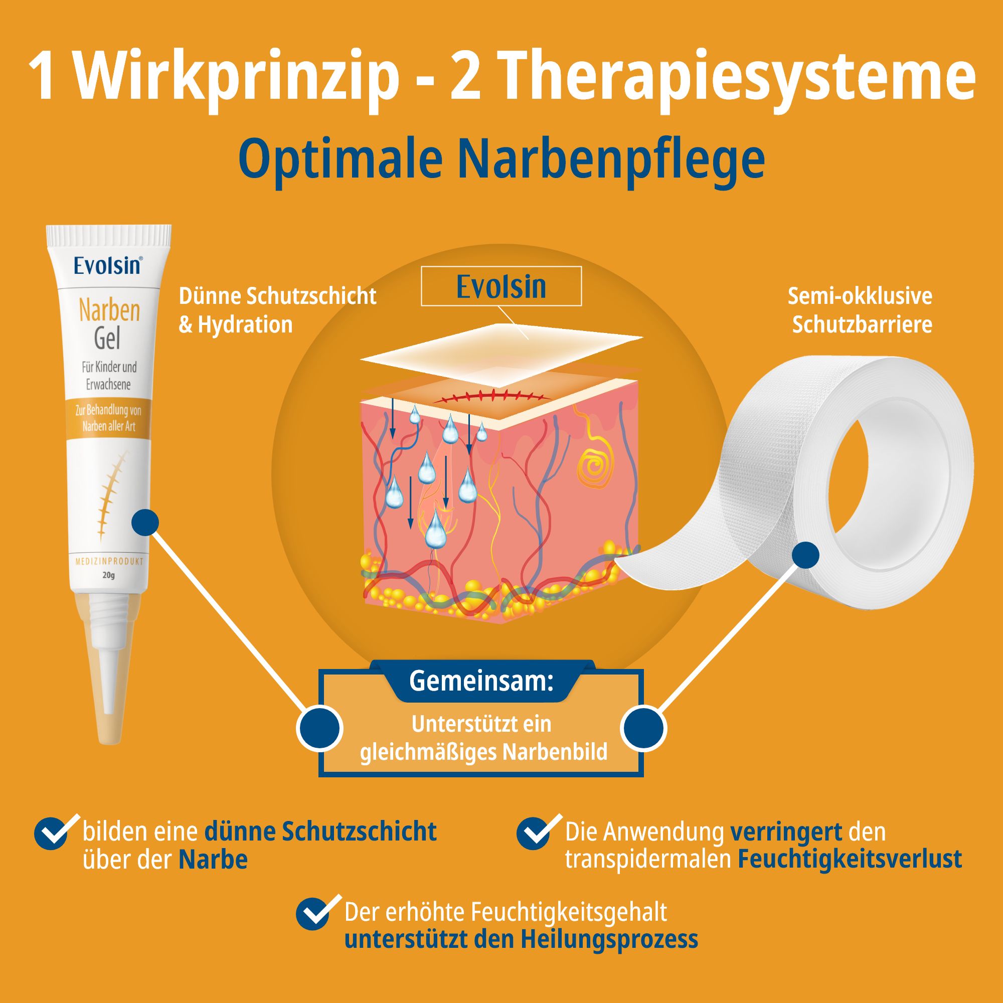 Evolsin® Narben Intensiv-Kur: Narbengel + Narbenpflaster - Reduziert die Sichtbarkeit von Narben und