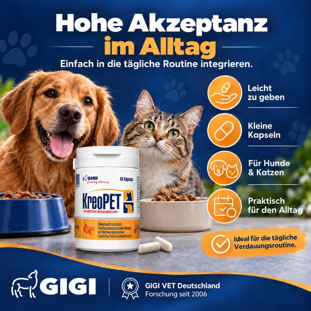 Ein Hund und eine Katze neben einem Behälter mit KreoPET-Kapseln, umgeben von Futter und Text.