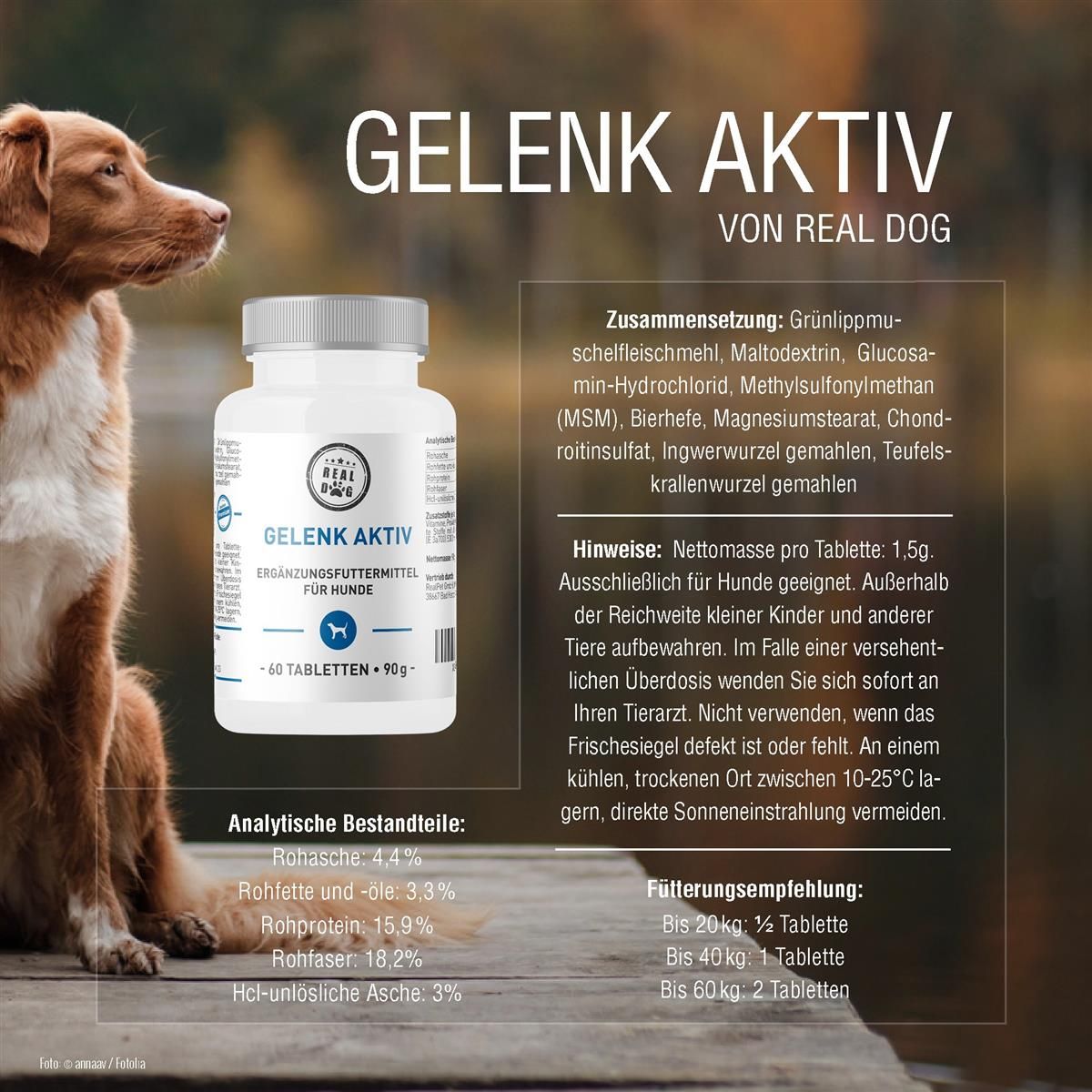 Tablettenflasche und Hund. Text: GELENK AKTIV VON REAL DOG. Zusammensetzung, Hinweise, Analytische Bestandteile, Fütterungsempfehlung. 60 Tabletten.
