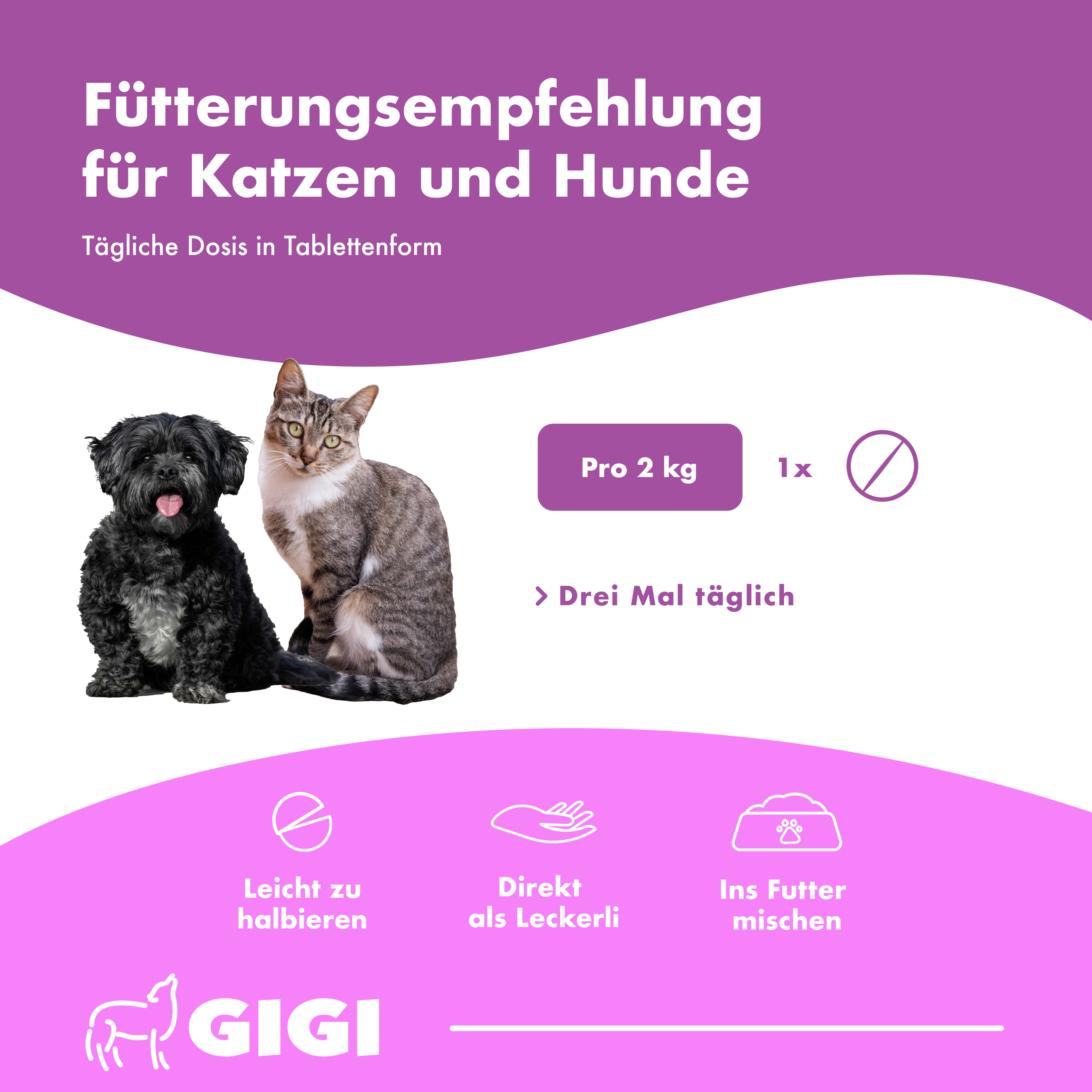 Hund und Katze. Text: Pro 2 kg 1x, Leicht zu halbieren, Direkt als Leckerli, Ins Futter mischen. Logo: GIGI.