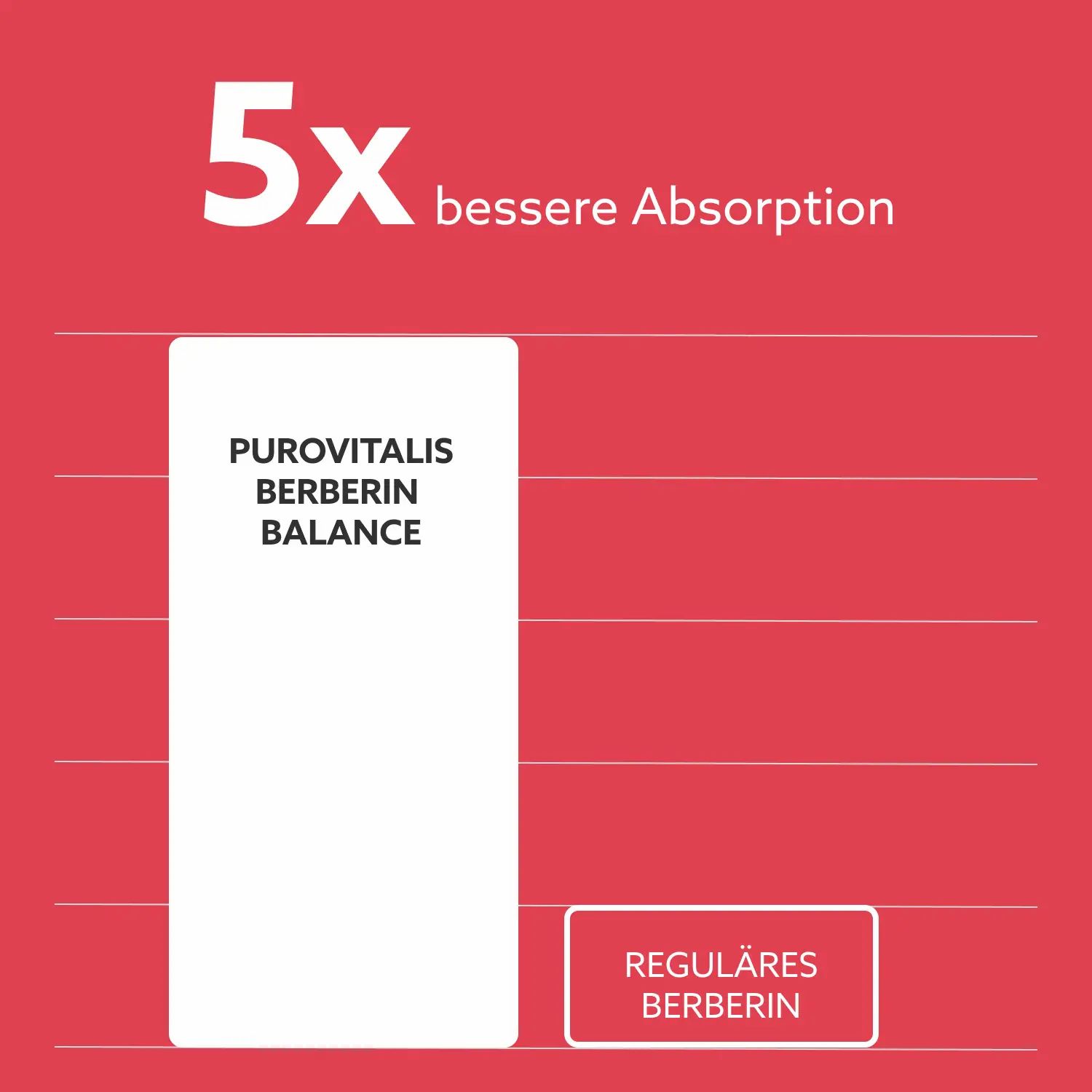 Diagramm mit Balken. Text: 5x bessere Absorption. Purovitalis Berberine Balance und reguläres Berberin.