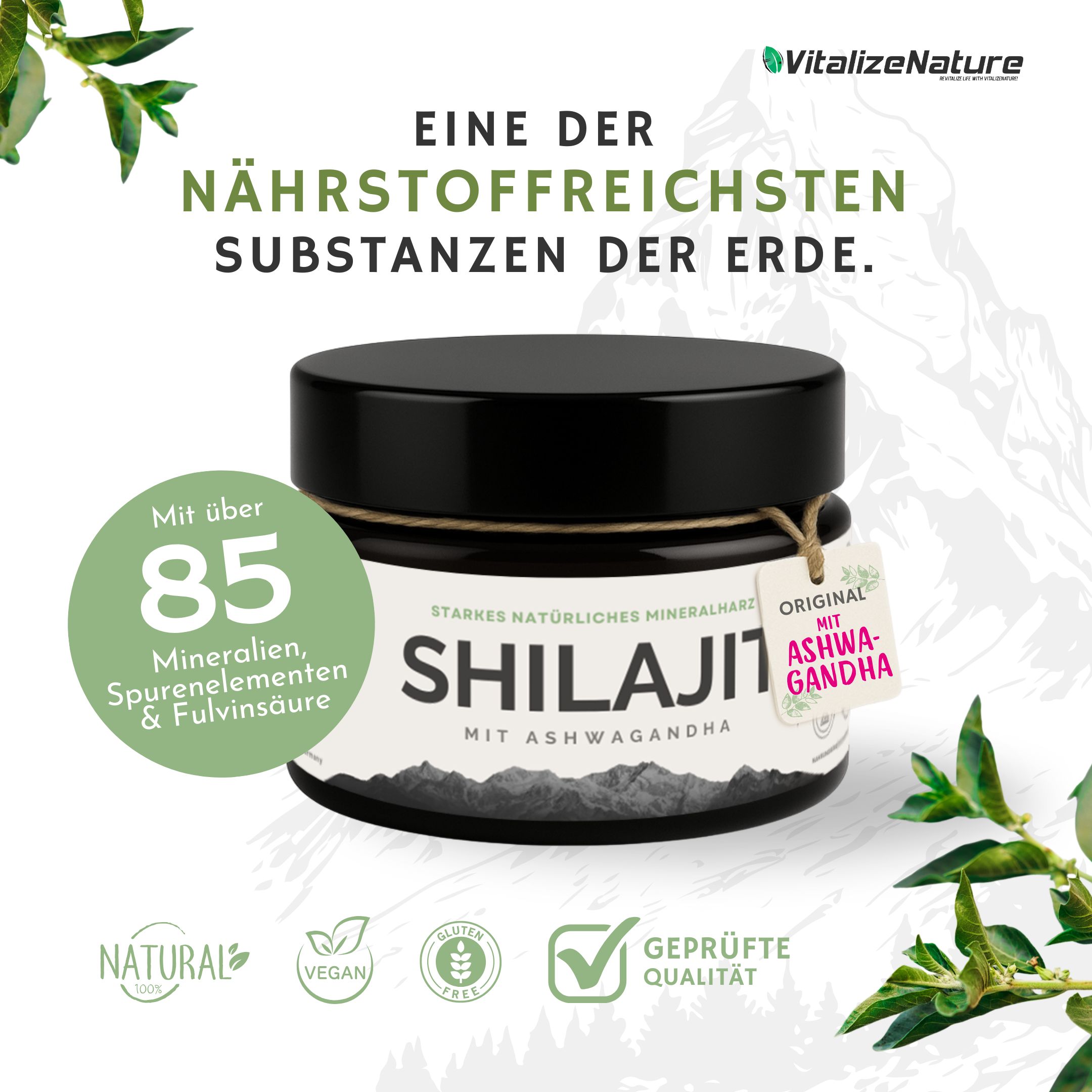 VitalizeNature Shilajit mit Ashwagandha