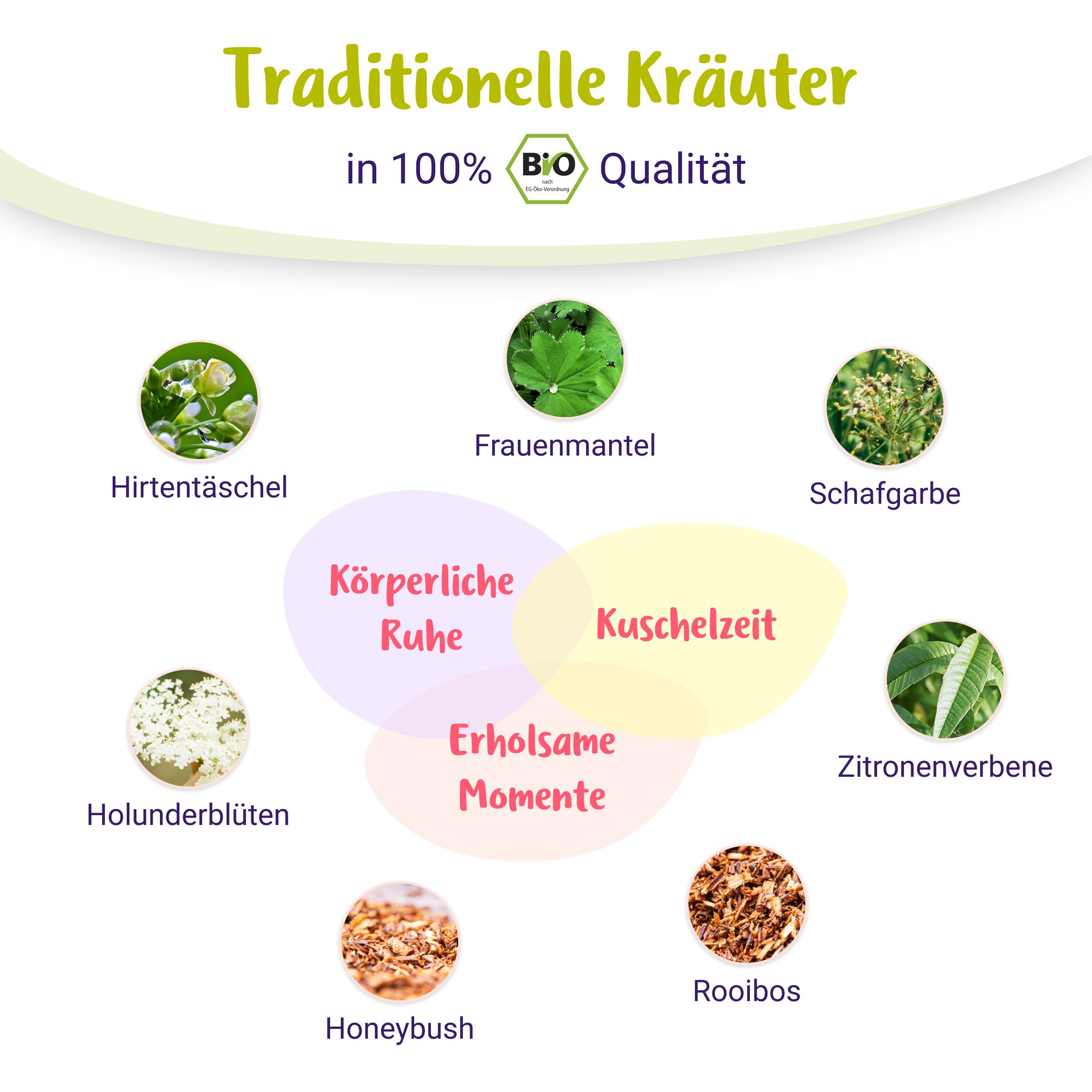 Schema mit traditionellen Kräutern für PregniVital Wochenbett BIO Kräutertee: Frauenmantel, Schafgarbe, Holunderblüten.