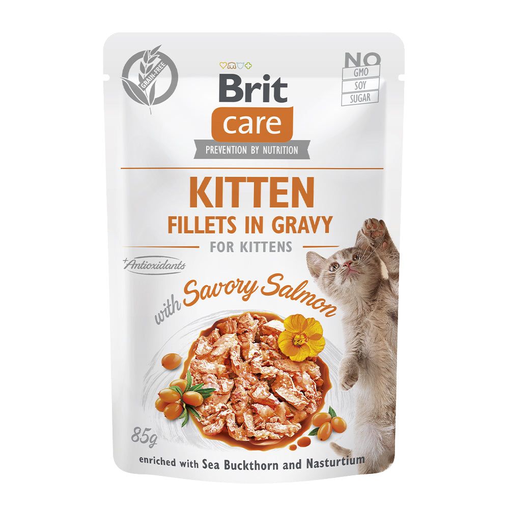 Brit Care Cat - Fillets in Gravy with Savory Salmon - Kitten