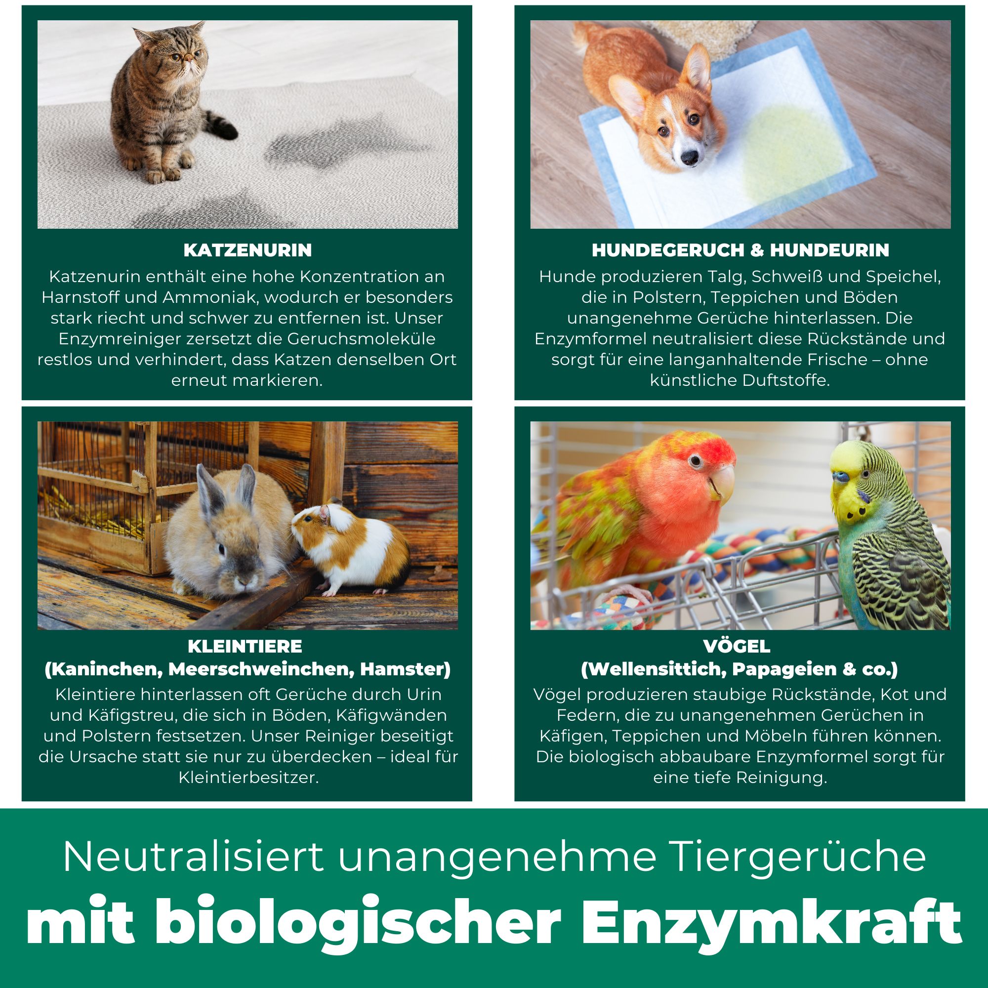 SILBERKRAFT Enzymreiniger Hund & Katze