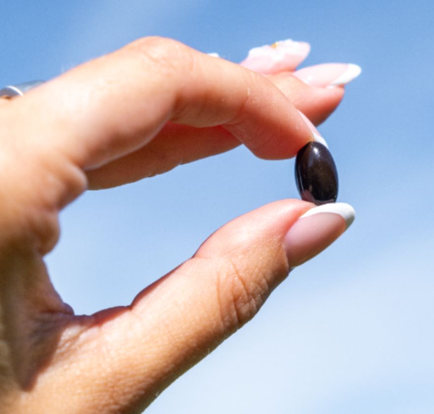 Finger hält eine einzelne Aavalabs Beta Carotene Softgel. Dunkelbraun, oval.