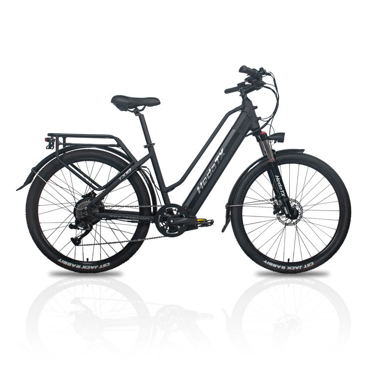 Schwarzes E-Bike, Seitenansicht. Hedatx TXC10 Schriftzug am Rahmen. Gepäckträger und Schutzbleche.