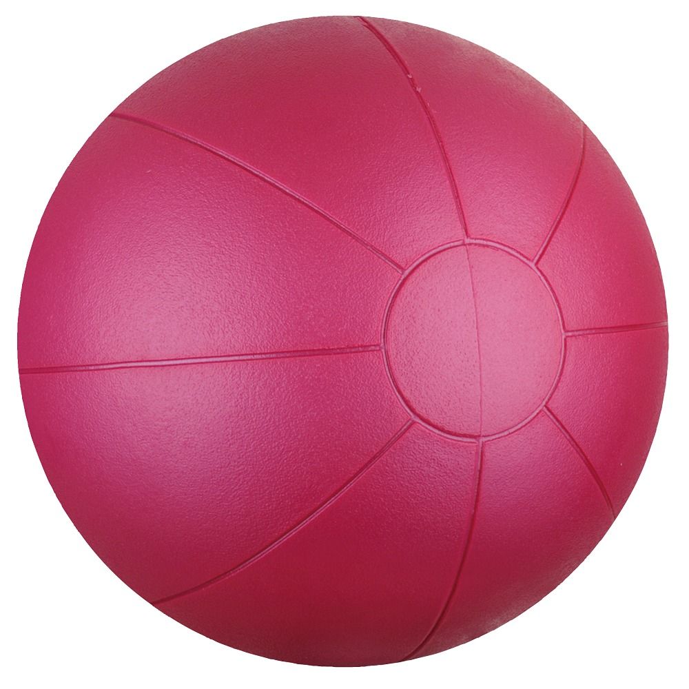 Togu Medizinball aus Ruton 1 St
