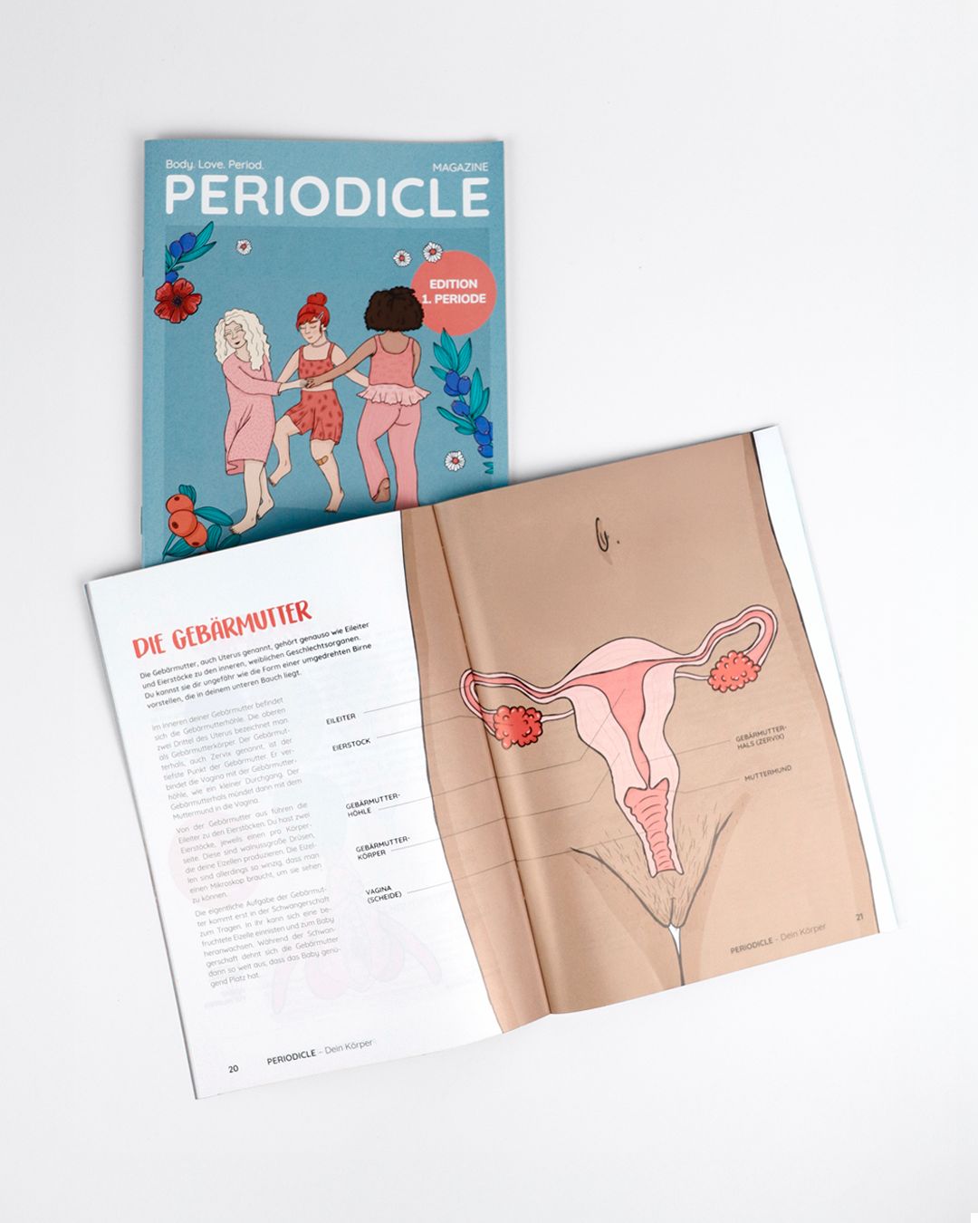 Offenes Heft mit Zeichnung der Gebärmutter. Aufdruck: PERIODICLE. Text in Deutsch. Seite mit Illustrationen und Beschriftungen.