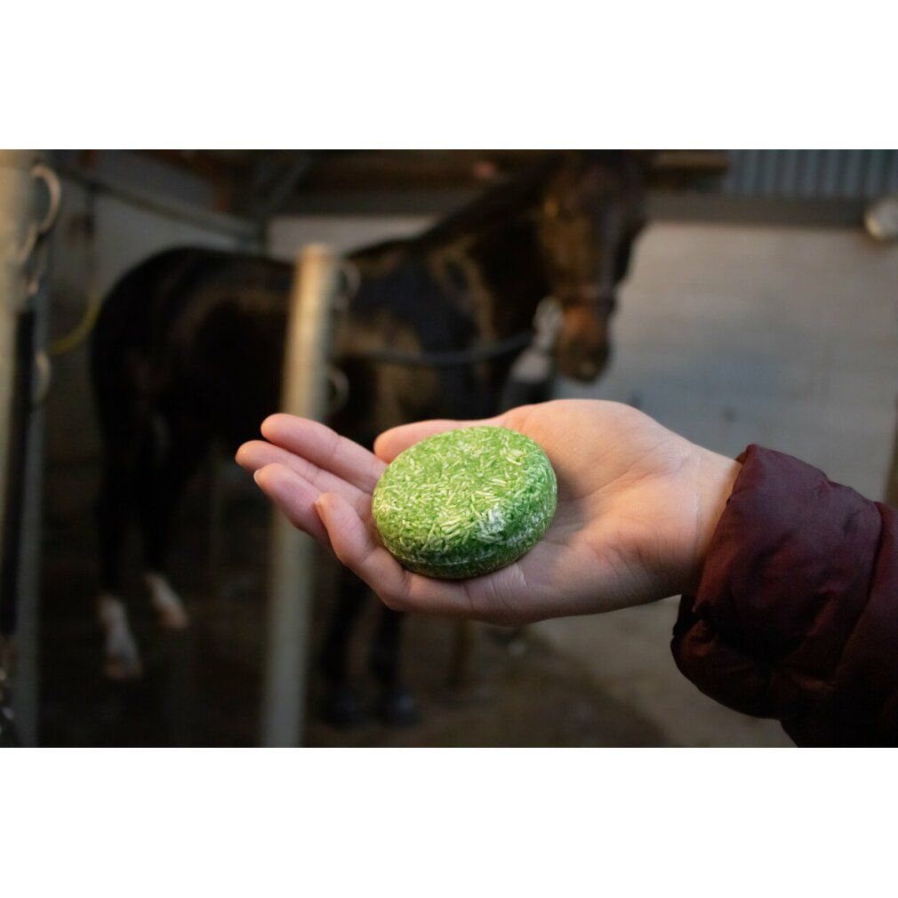 Grünes, rundes Shampoo-Bar in einer Hand. Im Hintergrund ein Pferd in einem Stall.