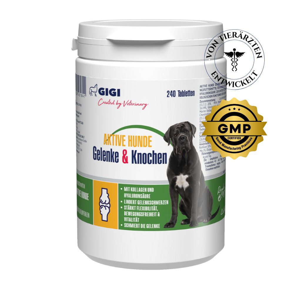 GIGI VET Aktive Hunde Gelenke & Knochen
