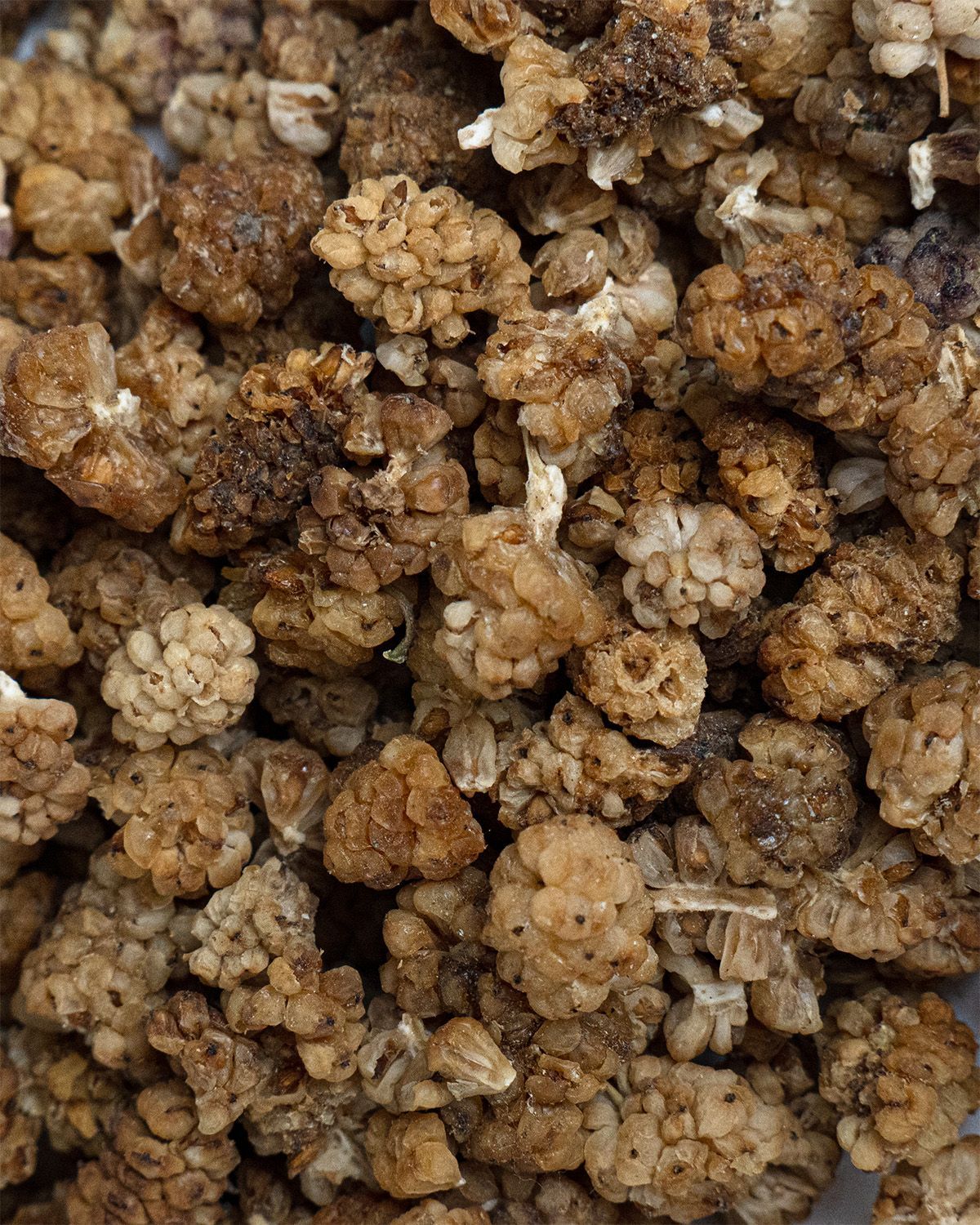 Nahaufnahme von getrockneten, weißen Maulbeeren. Die Beeren sind unregelmäßig geformt und haben eine bräunliche Farbe.