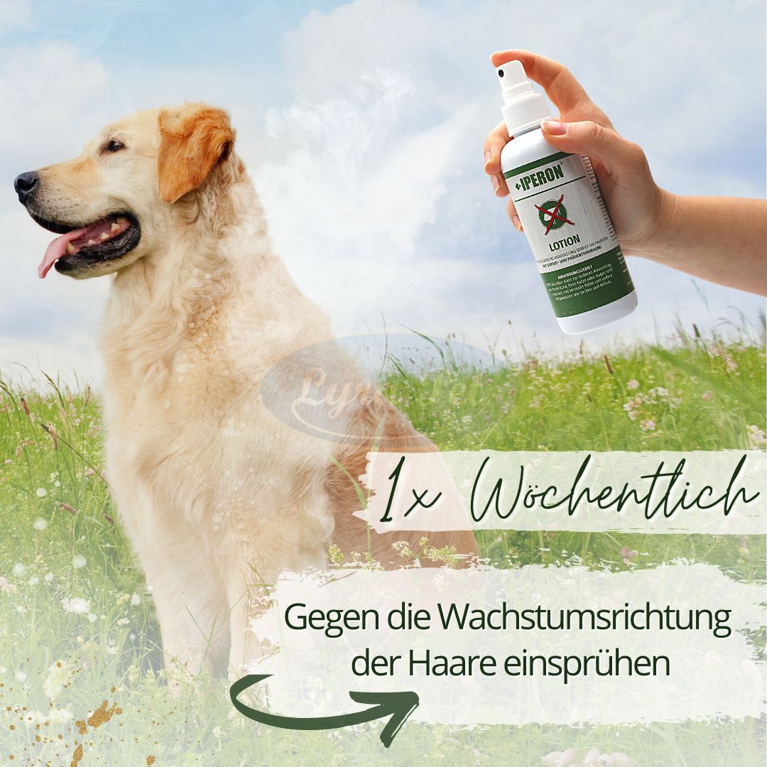 IPERON® Lotion