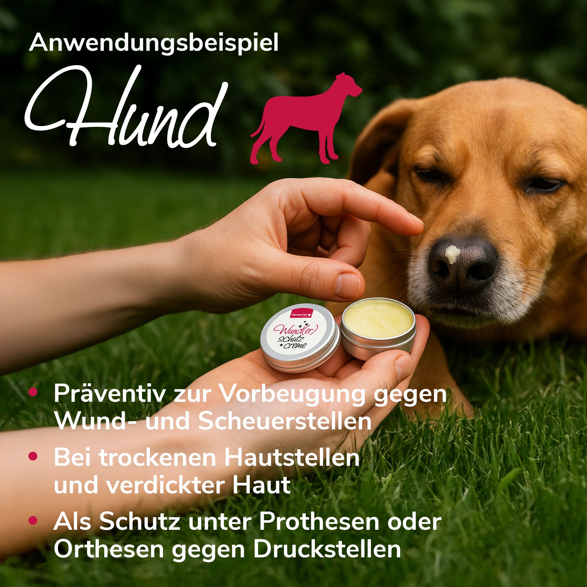 HerzensTier Wund(er)schutzcreme für Hund, Katze und Pferd