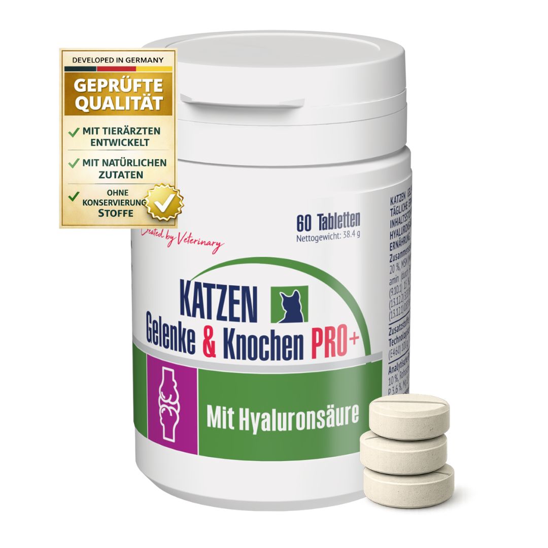 Dose GIGI VET Katzen Gelenke & Knochen PRO+ mit Tabletten. Text: Geprüfte Qualität, mit tierärztlicher Entwicklung.