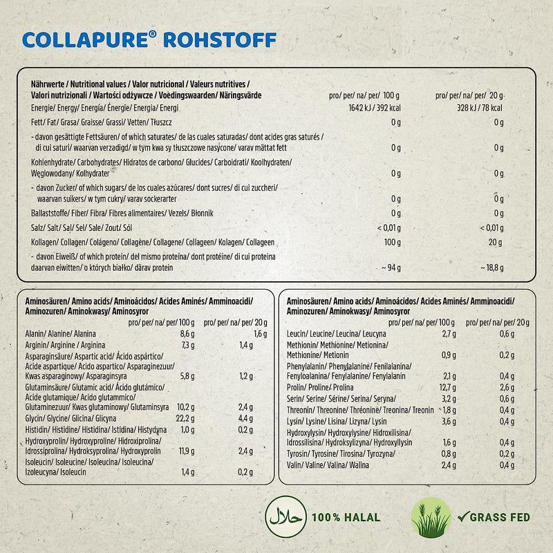 Kollagen Pulver - Premium Collagen Hydrolysat Peptide von Wehle Sports