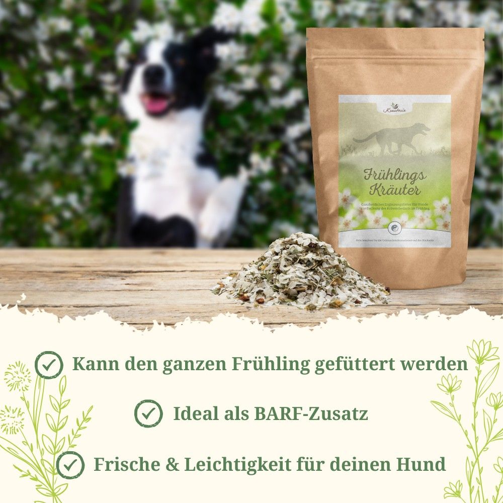 Krauterie Frühlings Kräuter für Hunde