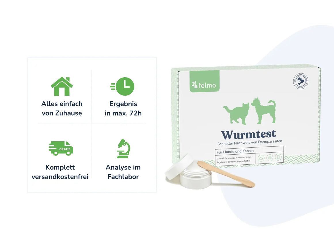 felmo Wurmtest
