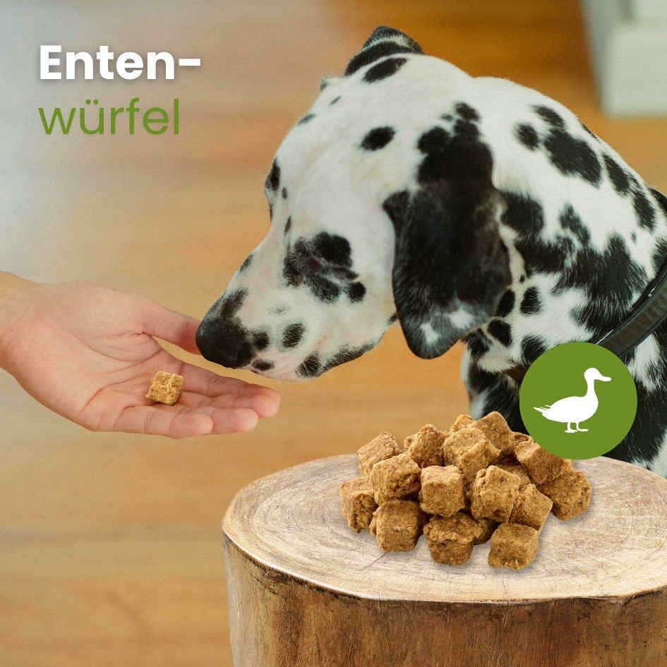 Getrocknete Entenwürfel in einer transparenten Tüte mit Etikett.